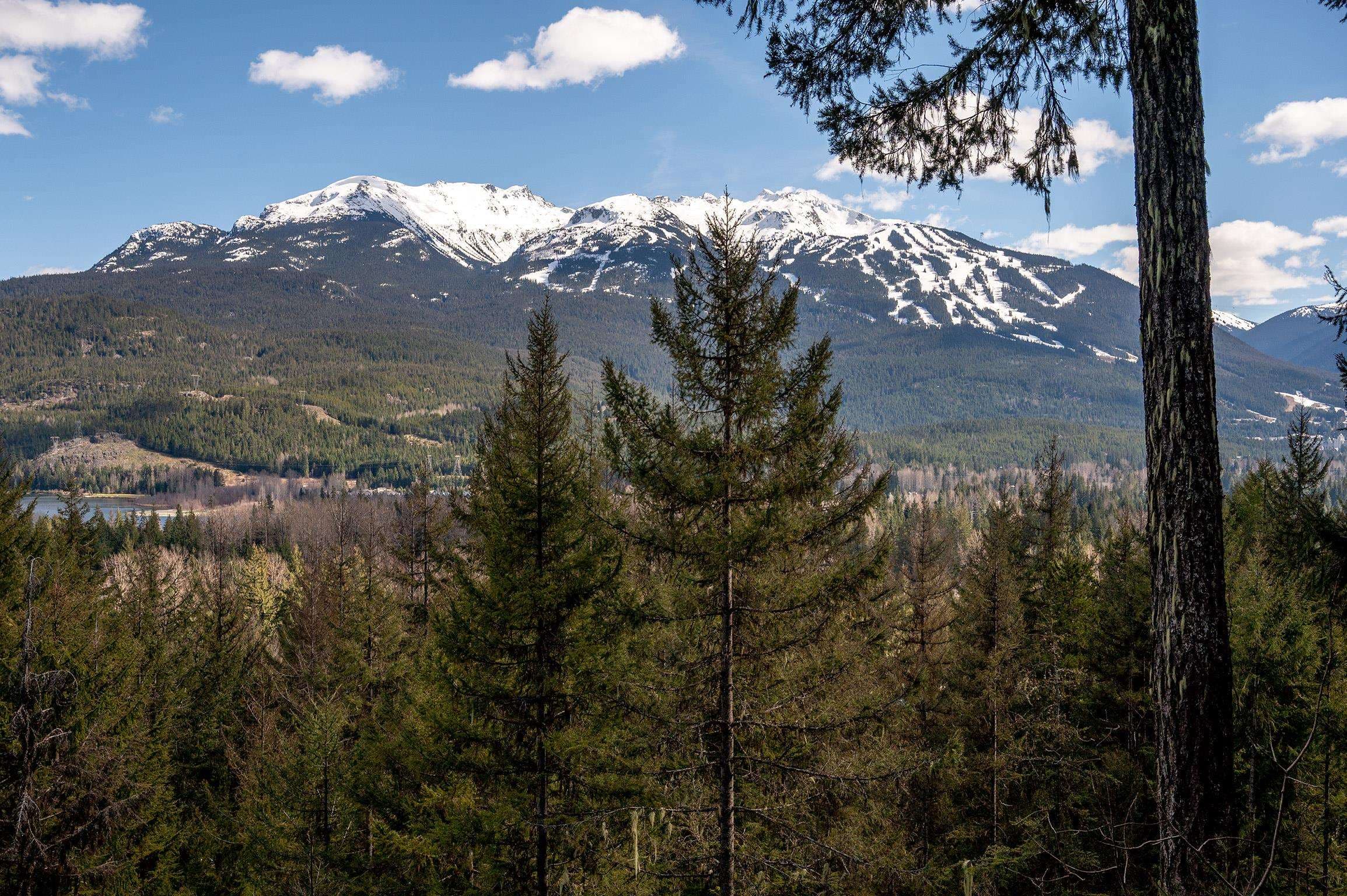 8365 Mountain View Drive, Whistler, V8E 0G3 — photo 4