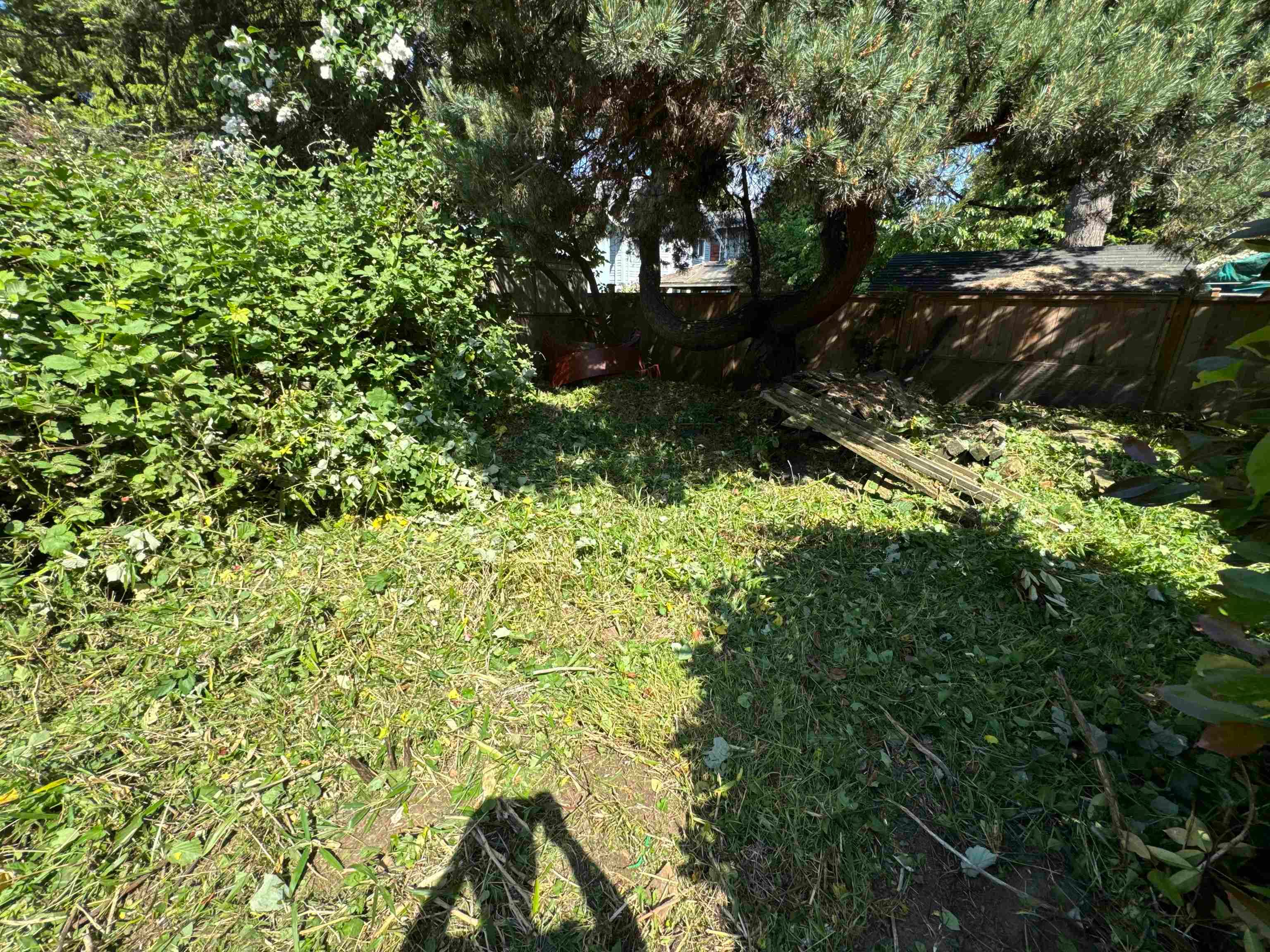 15671 Marine Drive, White Rock, V4B 1E3 — photo 5