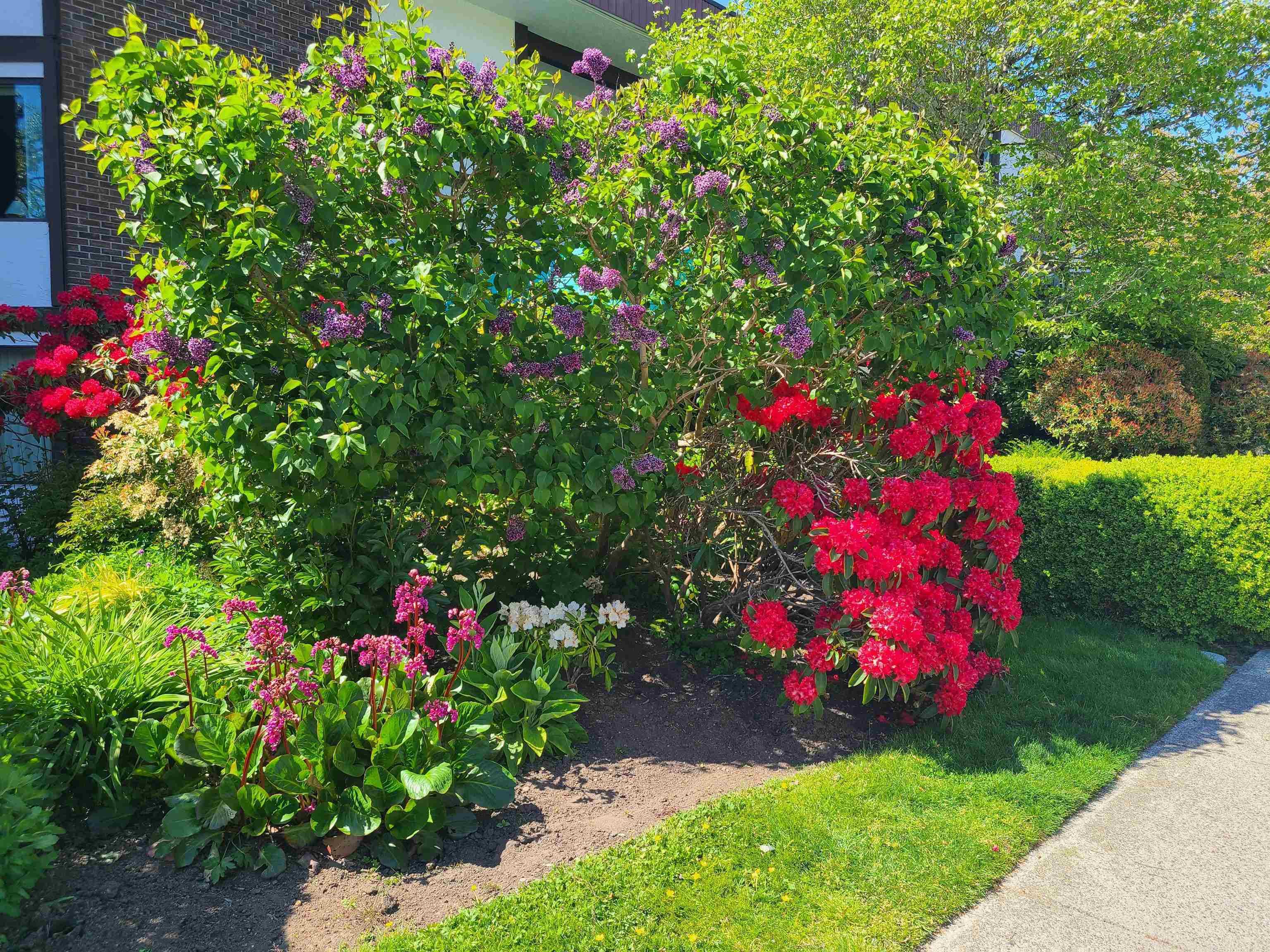 111 - 1521 Blackwood Street, White Rock, V4B 3V6 — photo 3