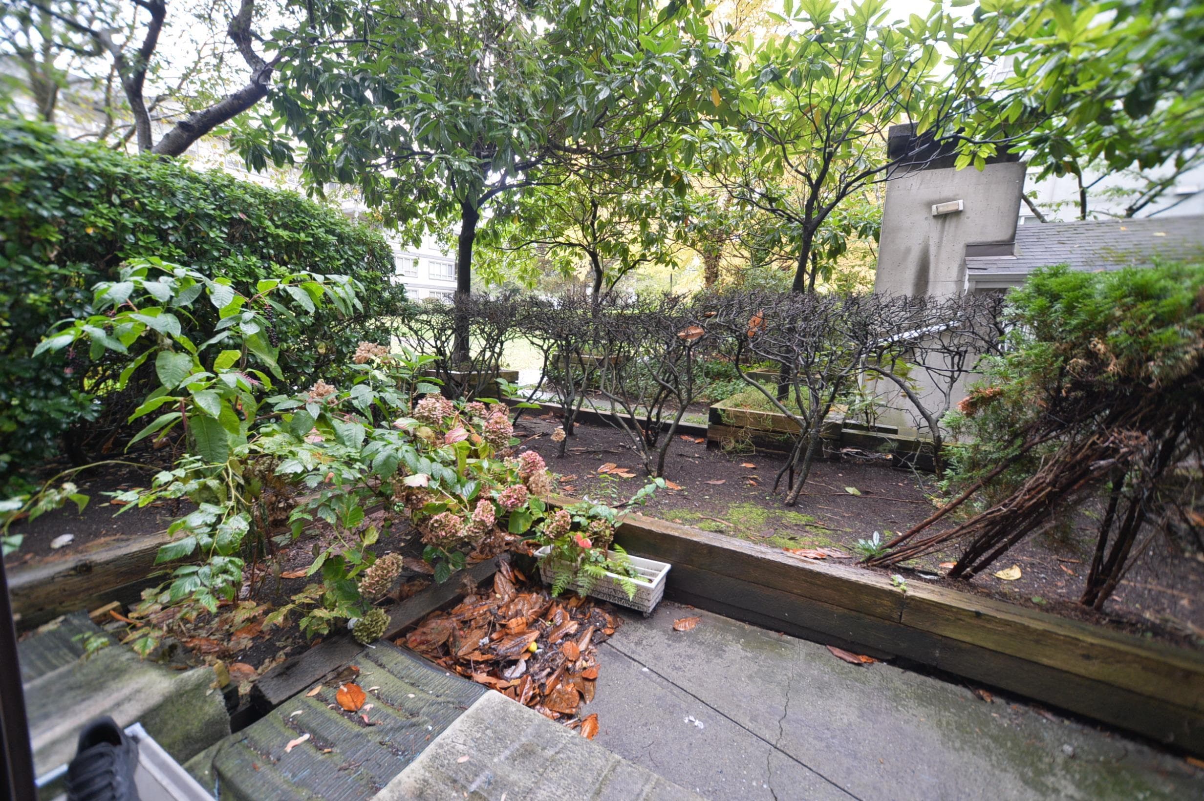 106 - 3455 Ascot Place, Vancouver, V5R 6B7 — photo 3