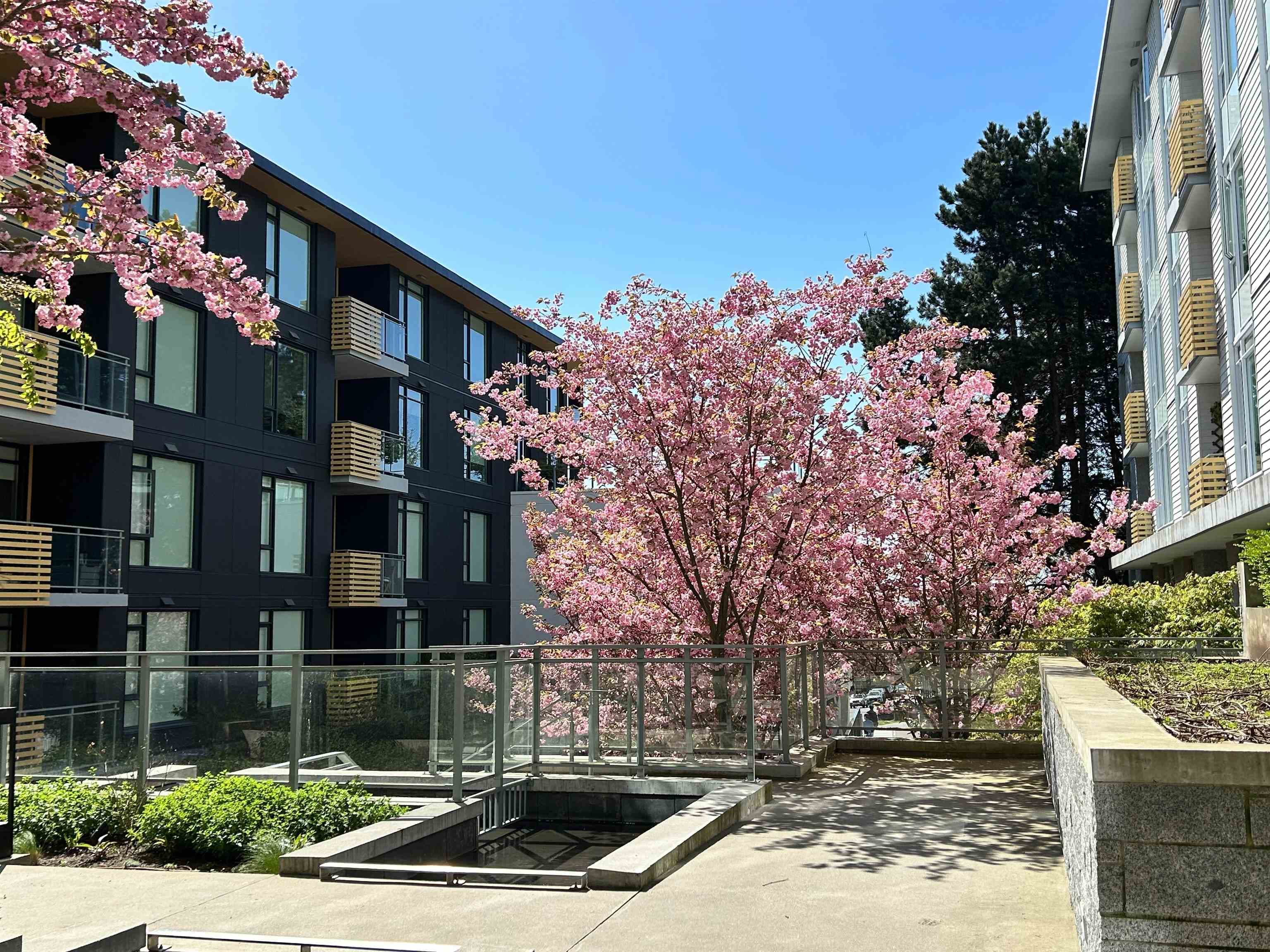 609 - 7428 Alberta Street, Vancouver