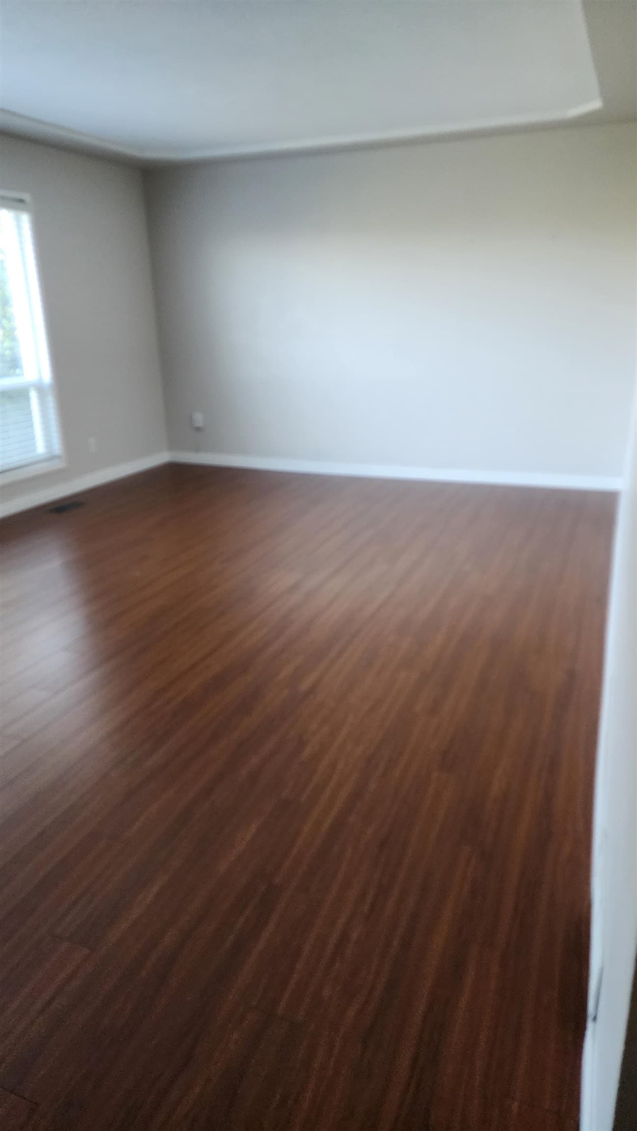 11513 Bailey Crescent, Surrey, V3V 2V2 — photo 3