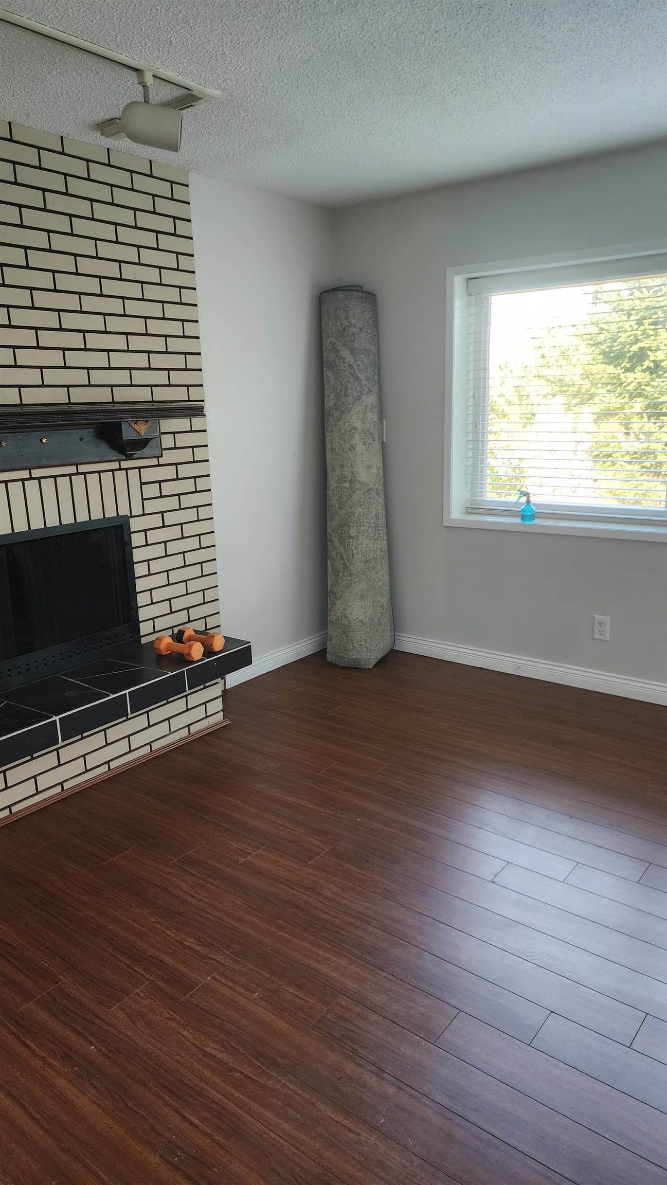 11513 Bailey Crescent, Surrey, V3V 2V2 — photo 5