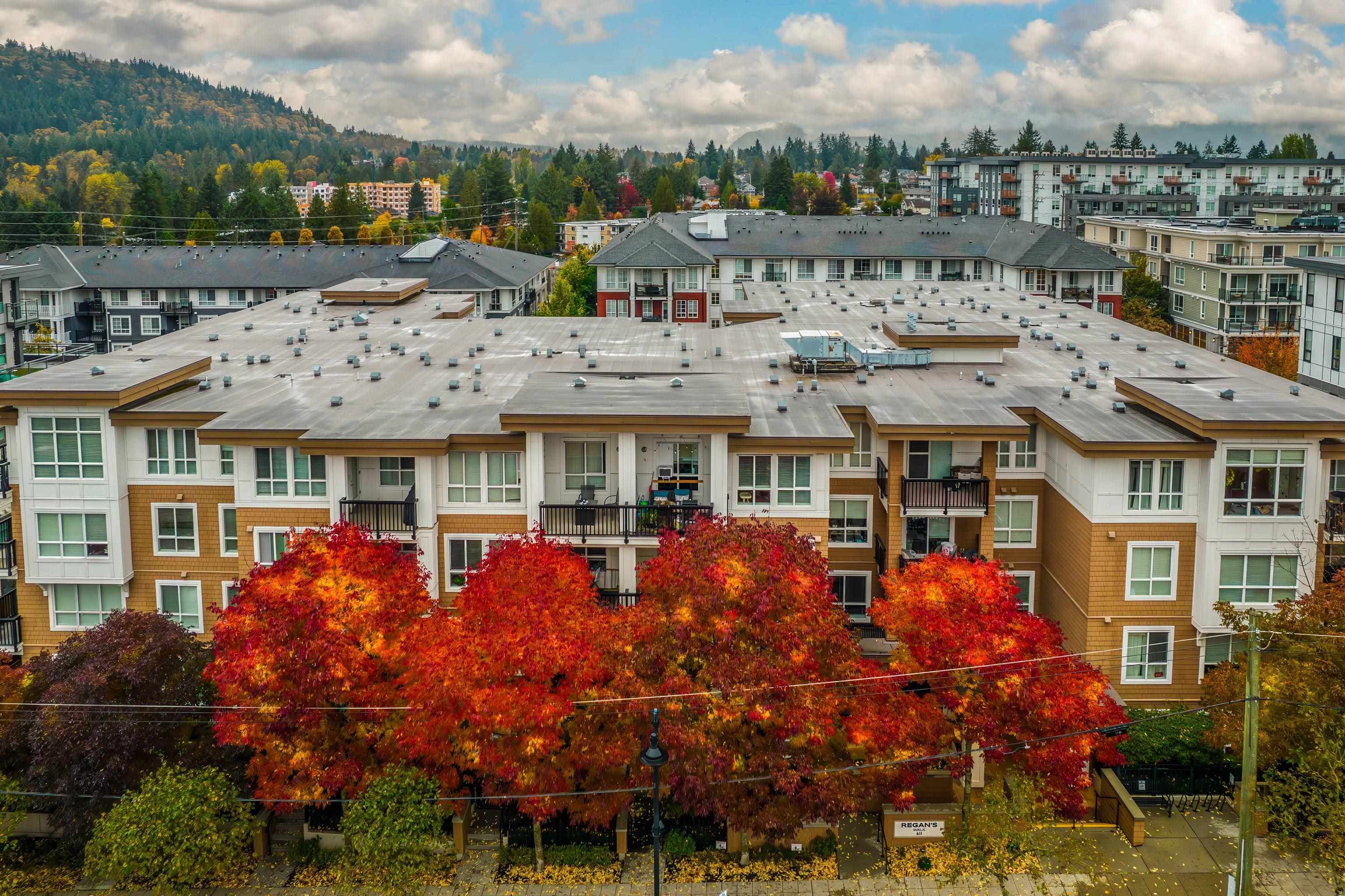 403 - 611 Regan Avenue, Coquitlam, V3J 0E5 — photo 5