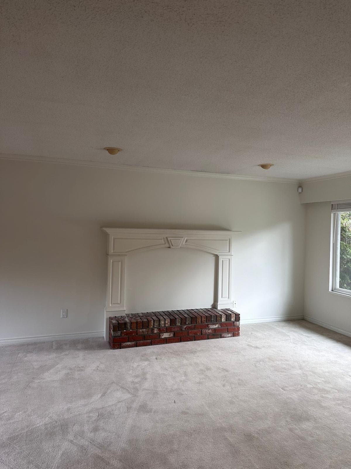 4907 202a Street, Langley, V3A 6W8 — photo 5