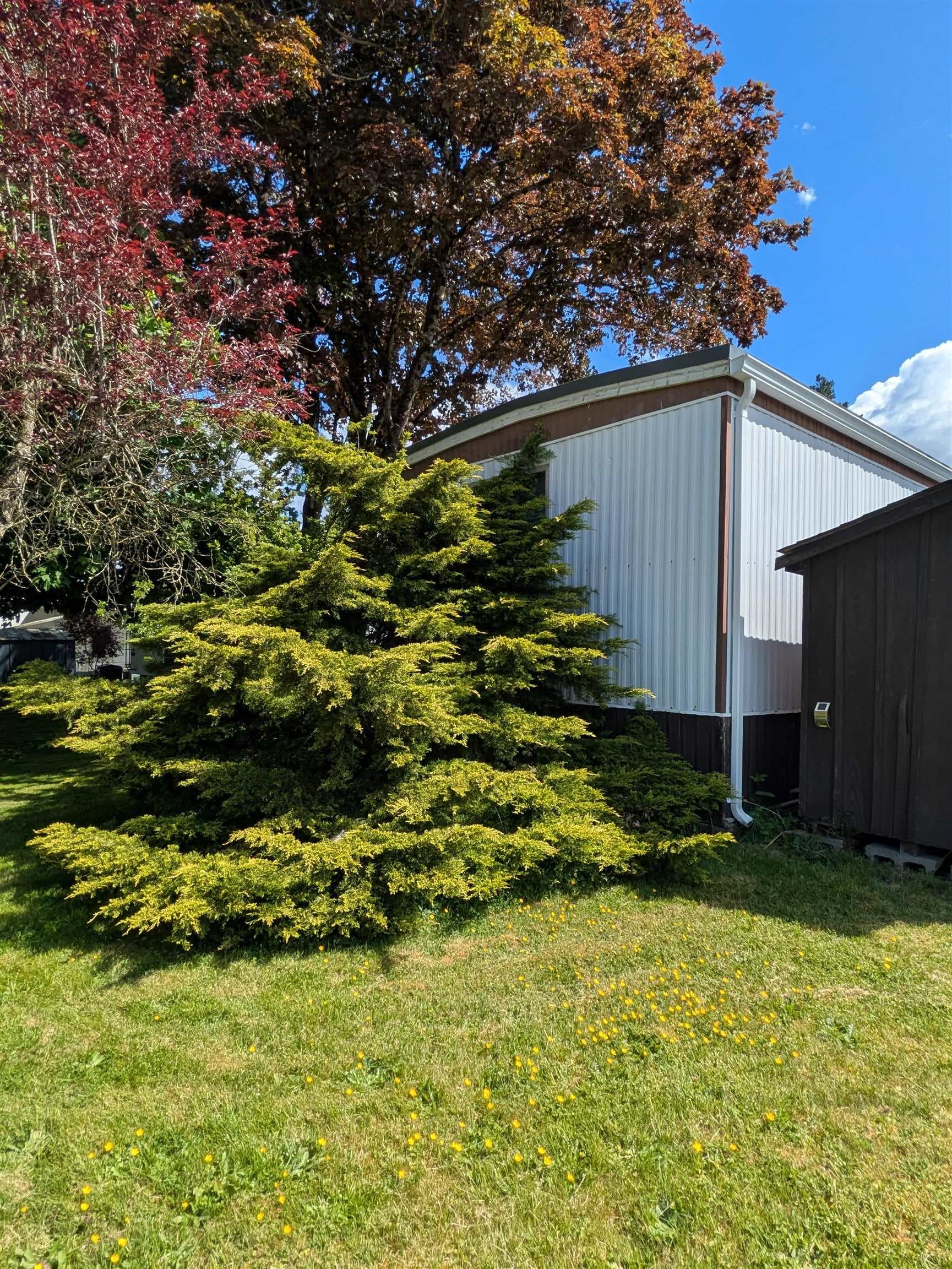 5 - 23141 72 Avenue, Langley, V2Y 2R9 — photo 4