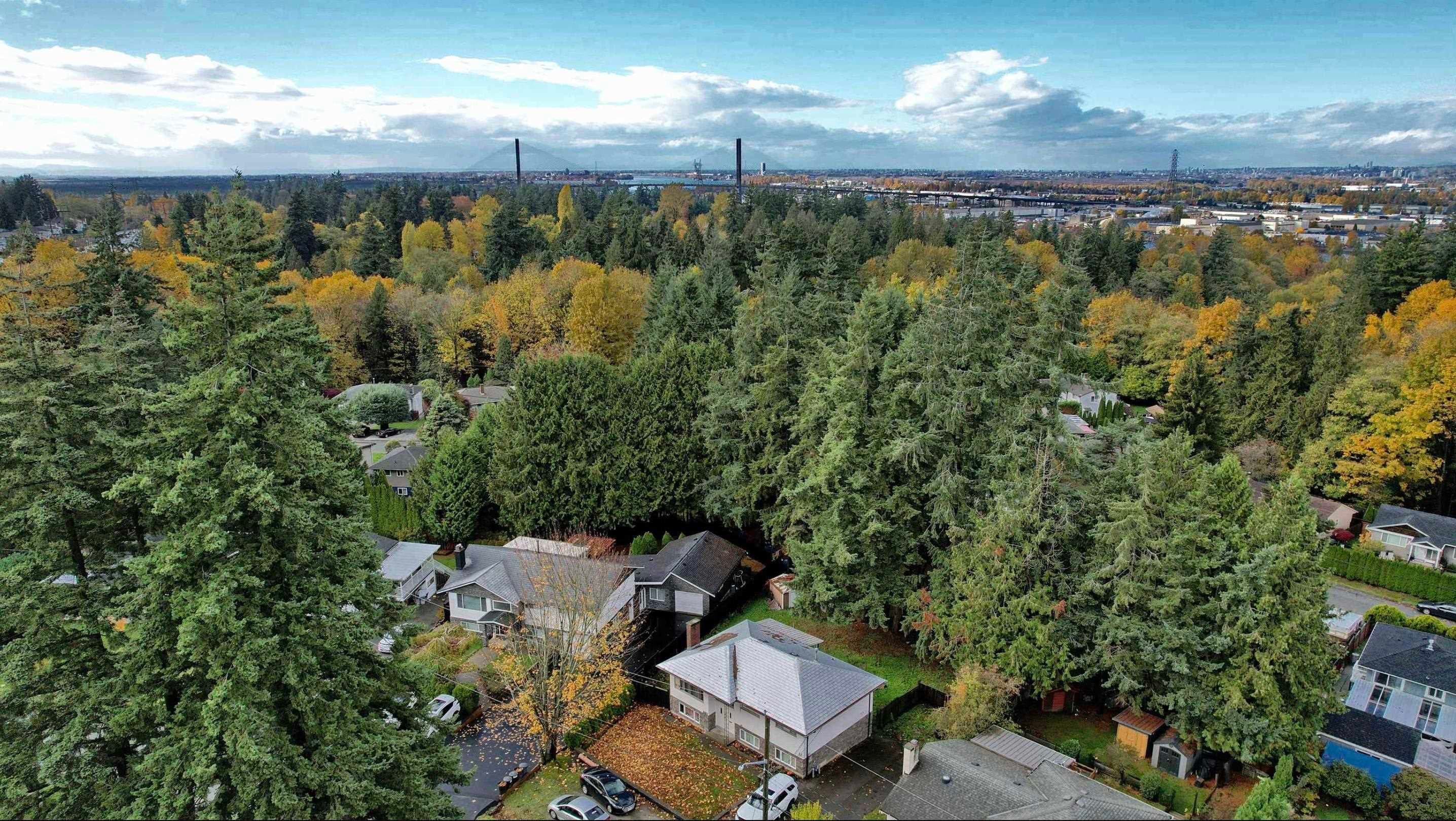 8824 Russell Drive, Delta, V4C 4P7 — photo 4