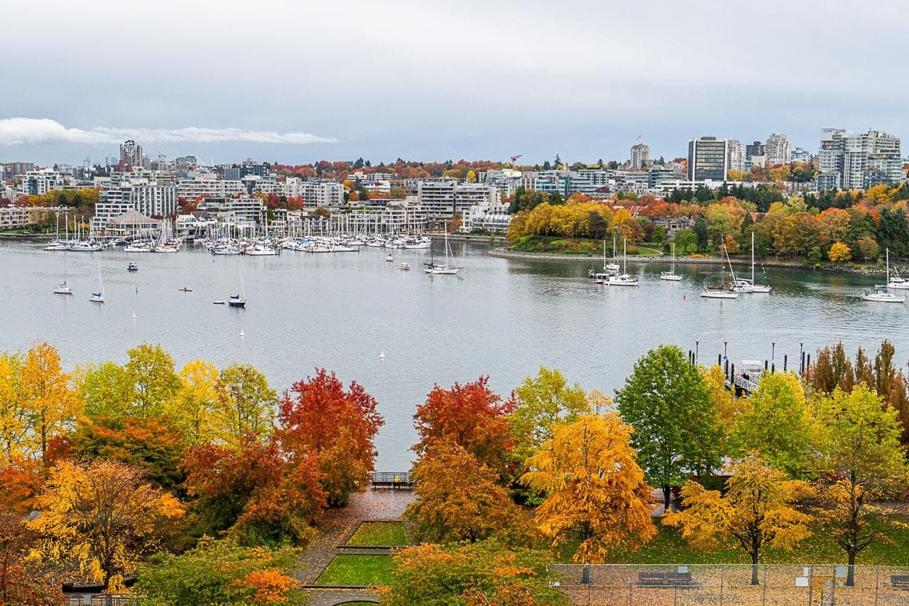 1003 - 1483 Homer Street, Vancouver, V6Z 3C7 — photo 1