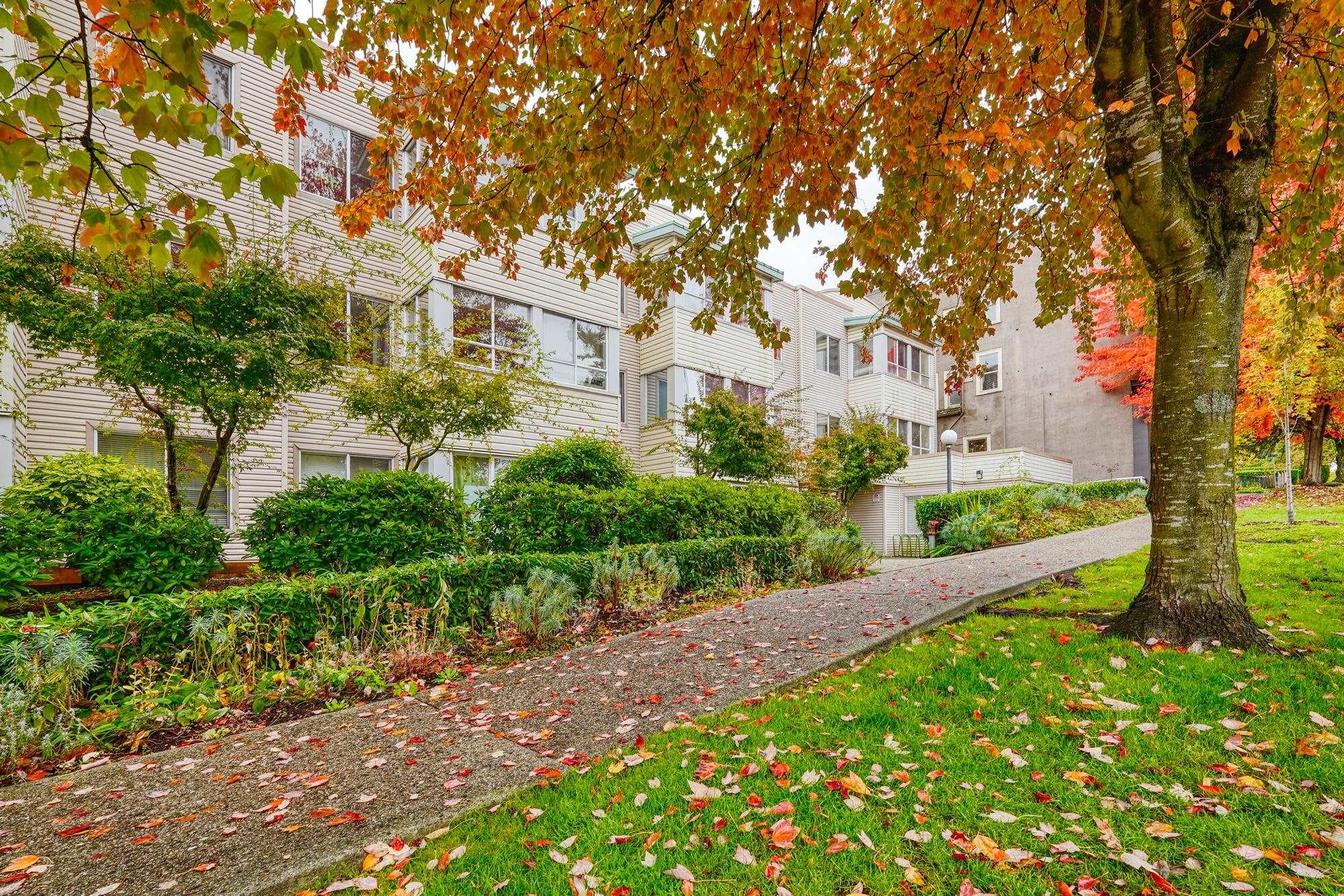 211 - 3624 Fraser Street, Vancouver