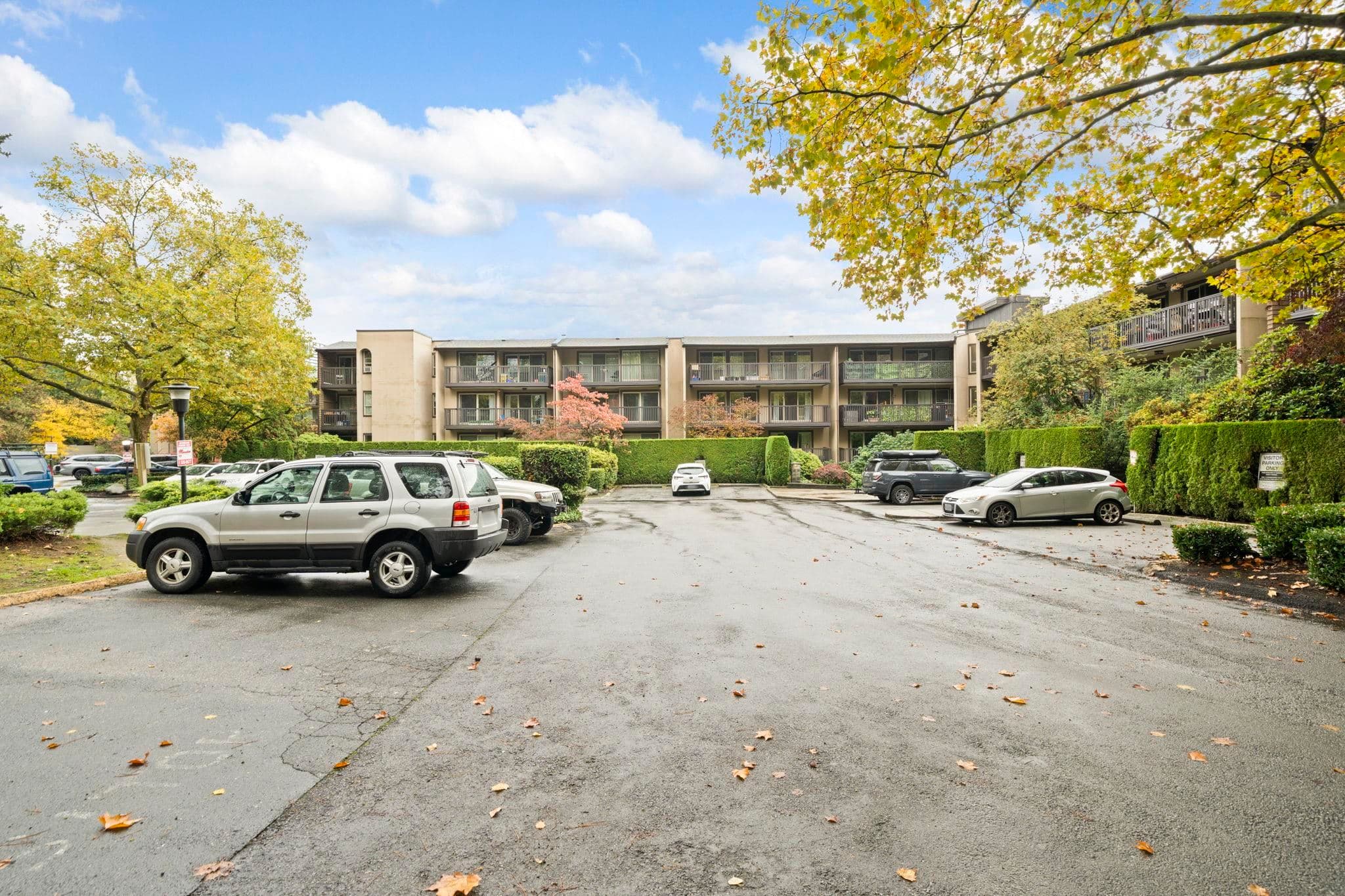 110 - 9847 Manchester Drive, Burnaby, V3N 4P4 — photo 5