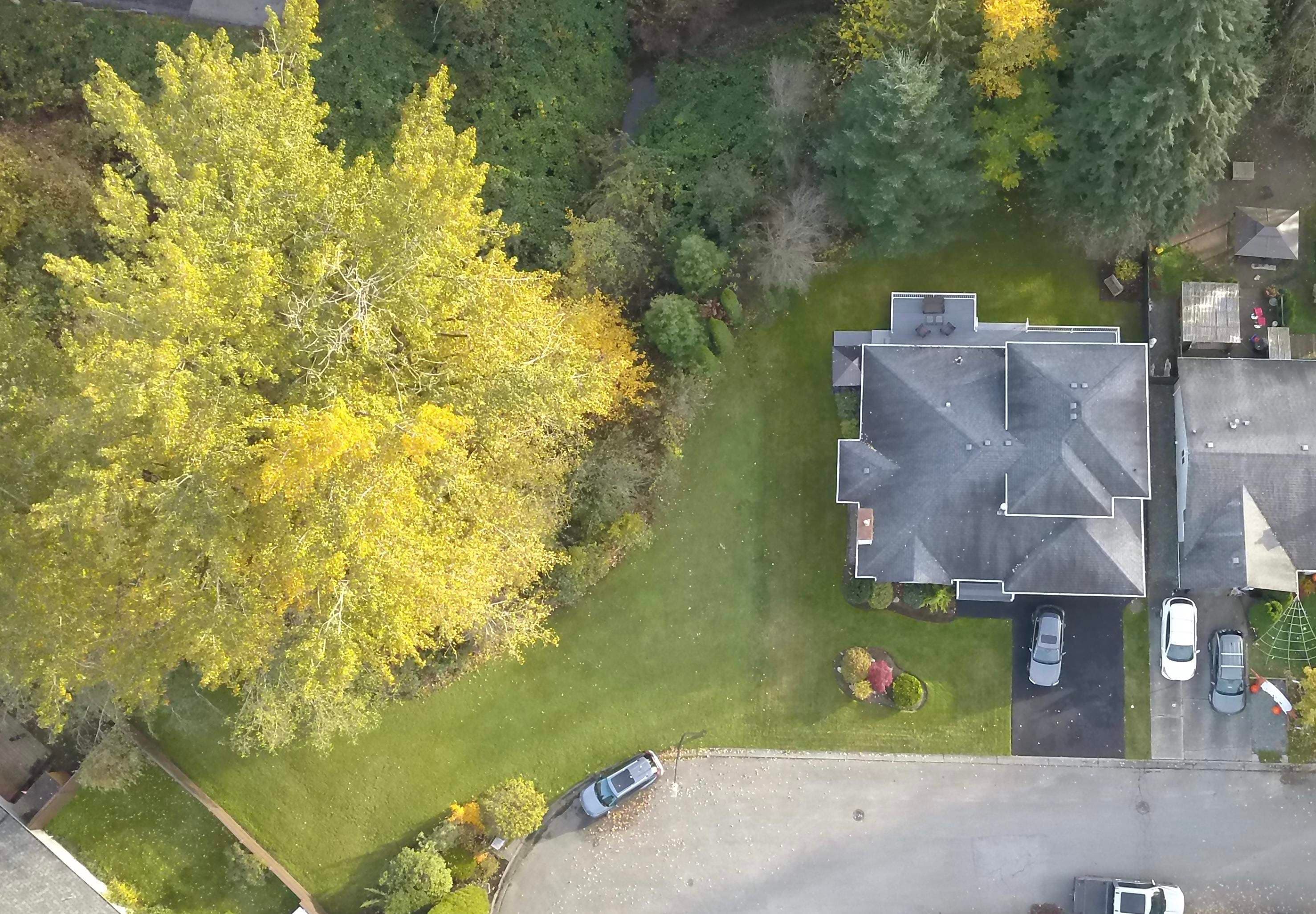 22822 125b Avenue, Maple Ridge, V2X 0P8 — photo 2