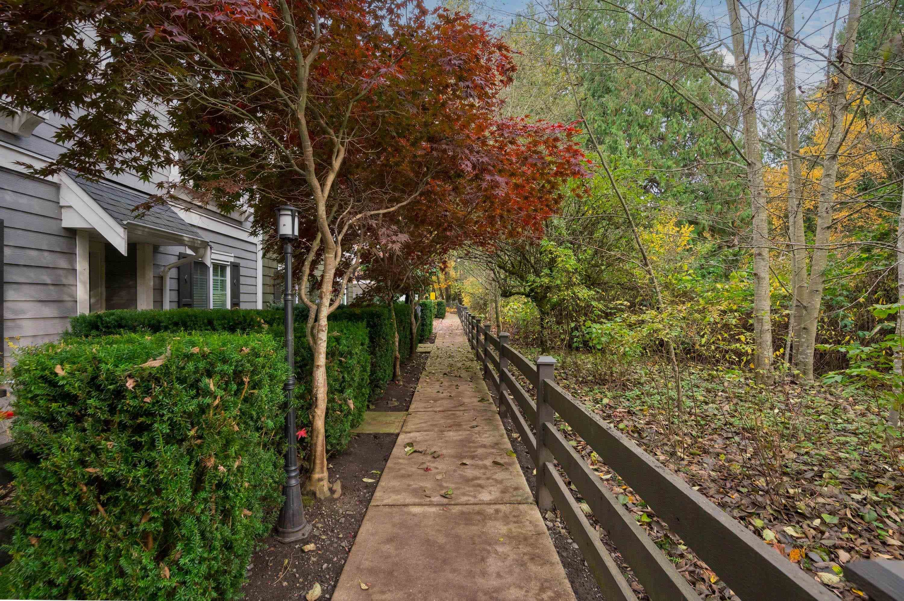50 - 288 171 Street, Surrey, V3Z 9P5 — photo 5