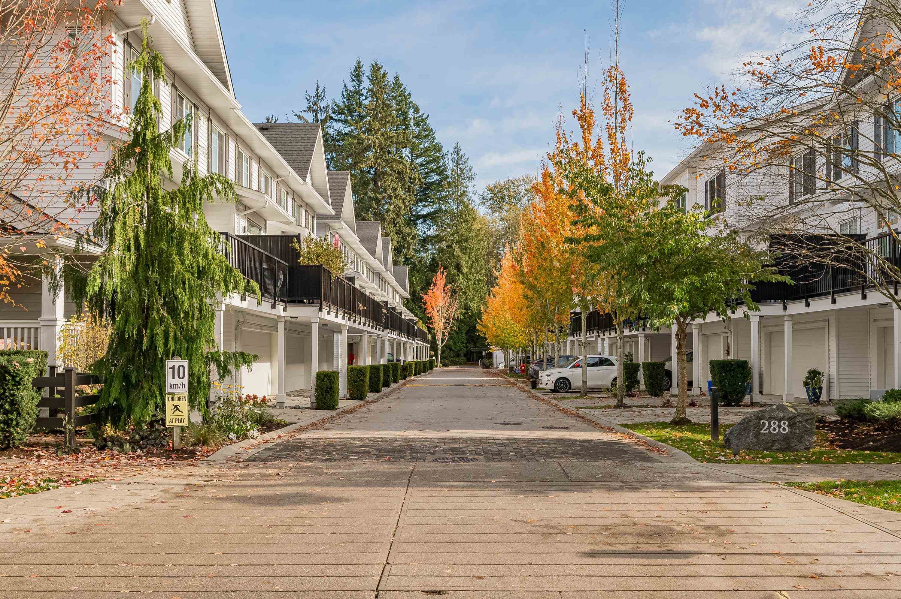 50 - 288 171 Street, Surrey, V3Z 9P5 — photo 4