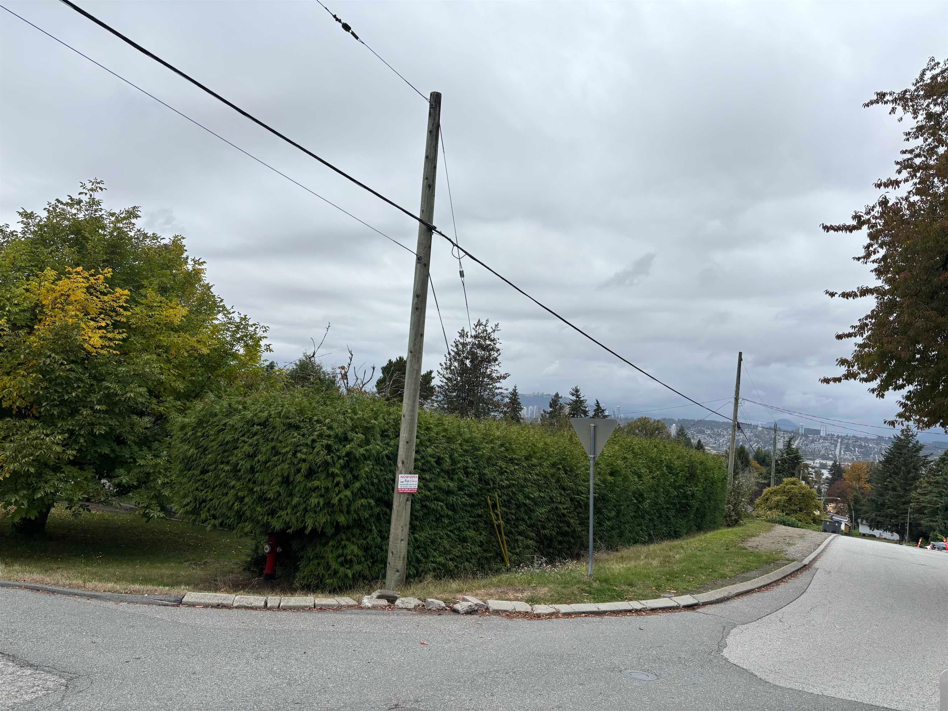 12995 110 Avenue, Surrey, V3T 2P4 — photo 5