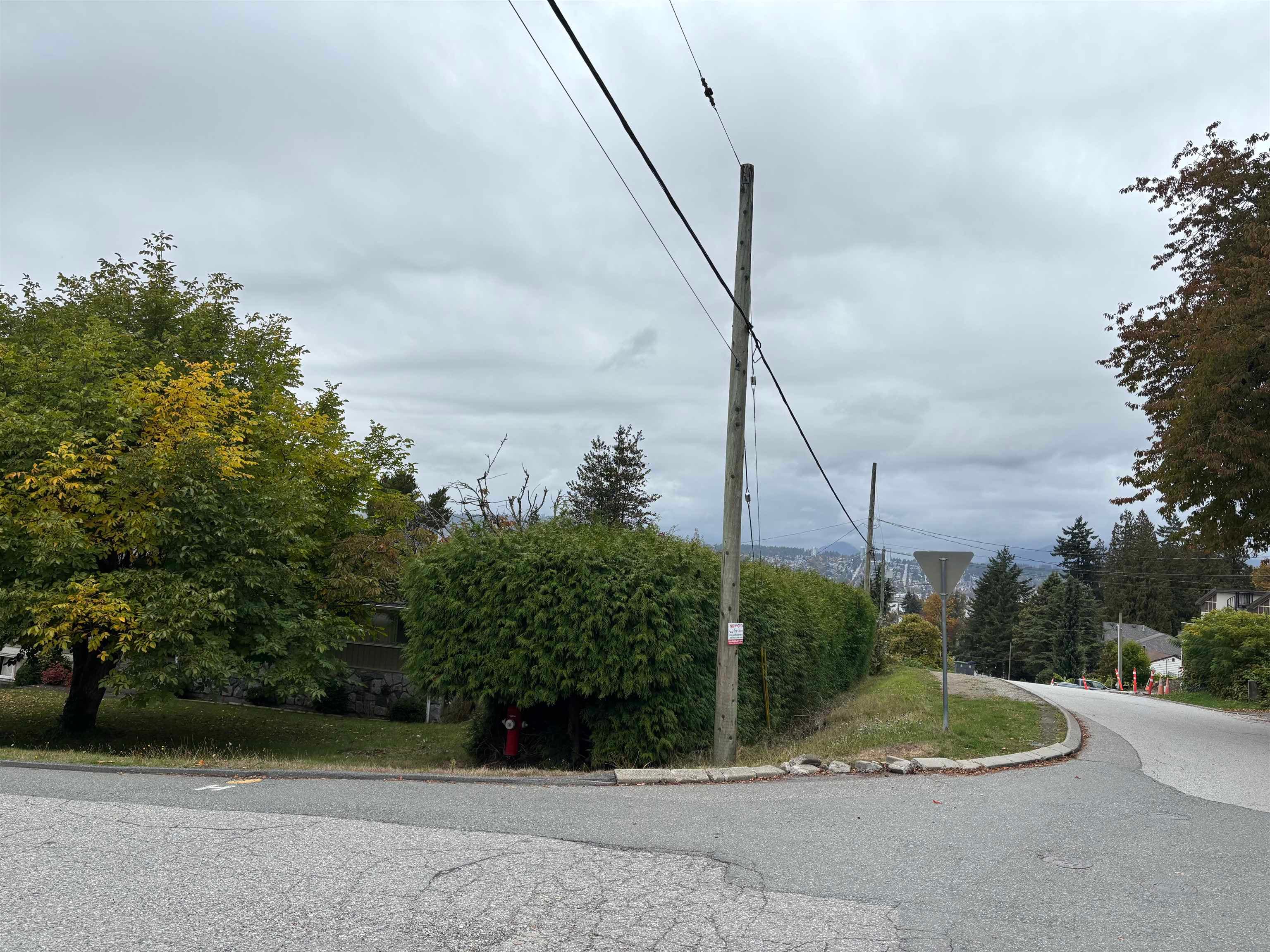 12995 110 Avenue, Surrey, V3T 2P4 — photo 4