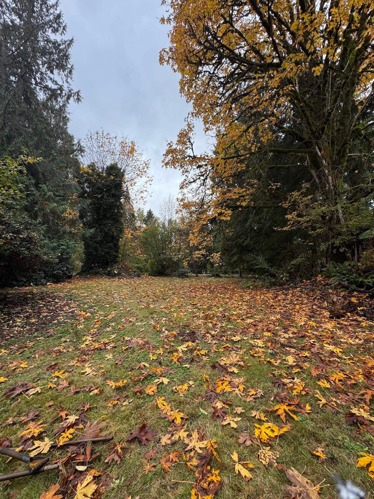 23979 Fern Crescent, Maple Ridge, V4R 2R7 — photo 2
