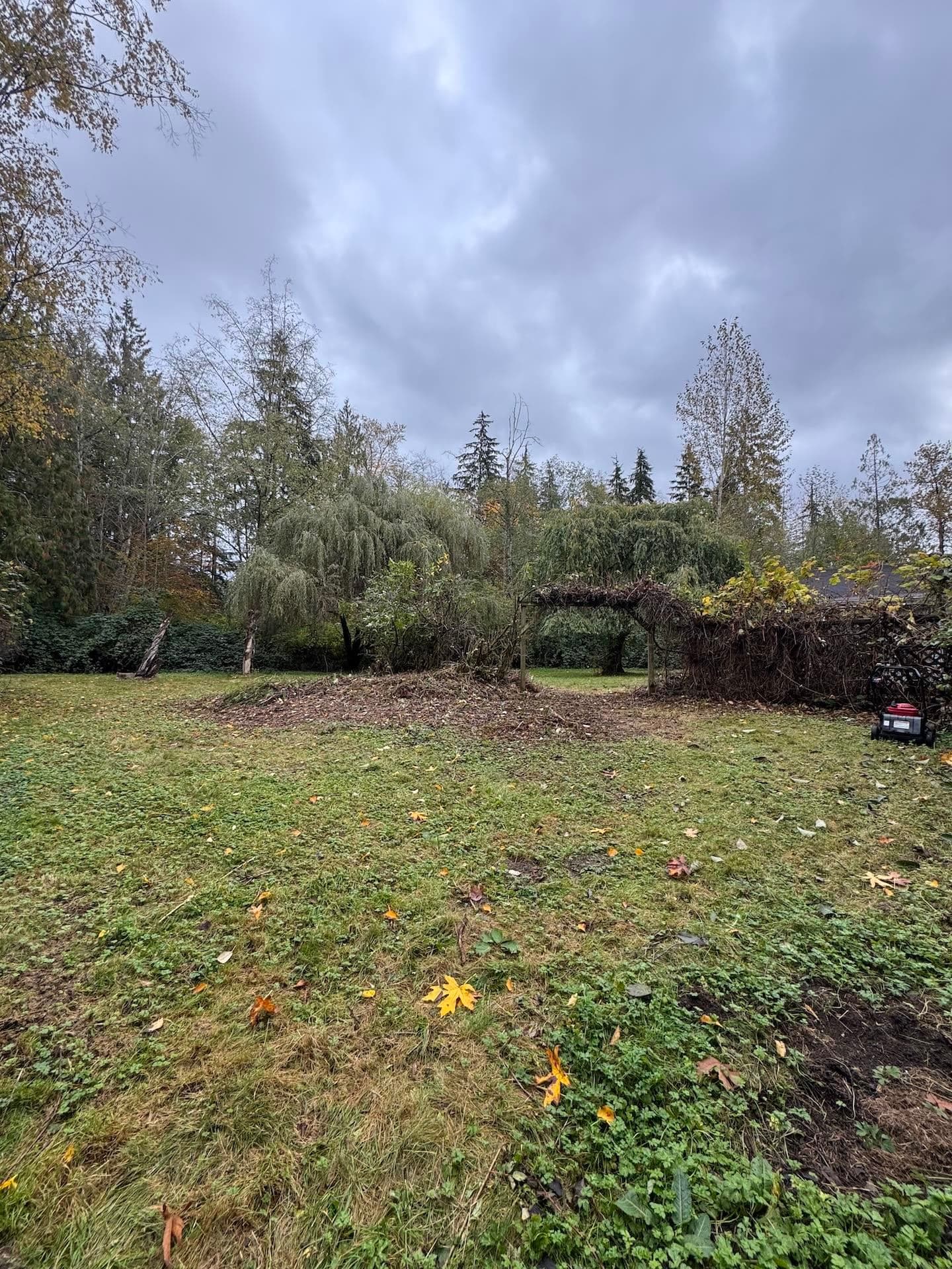 23979 Fern Crescent, Maple Ridge, V4R 2R7 — photo 3