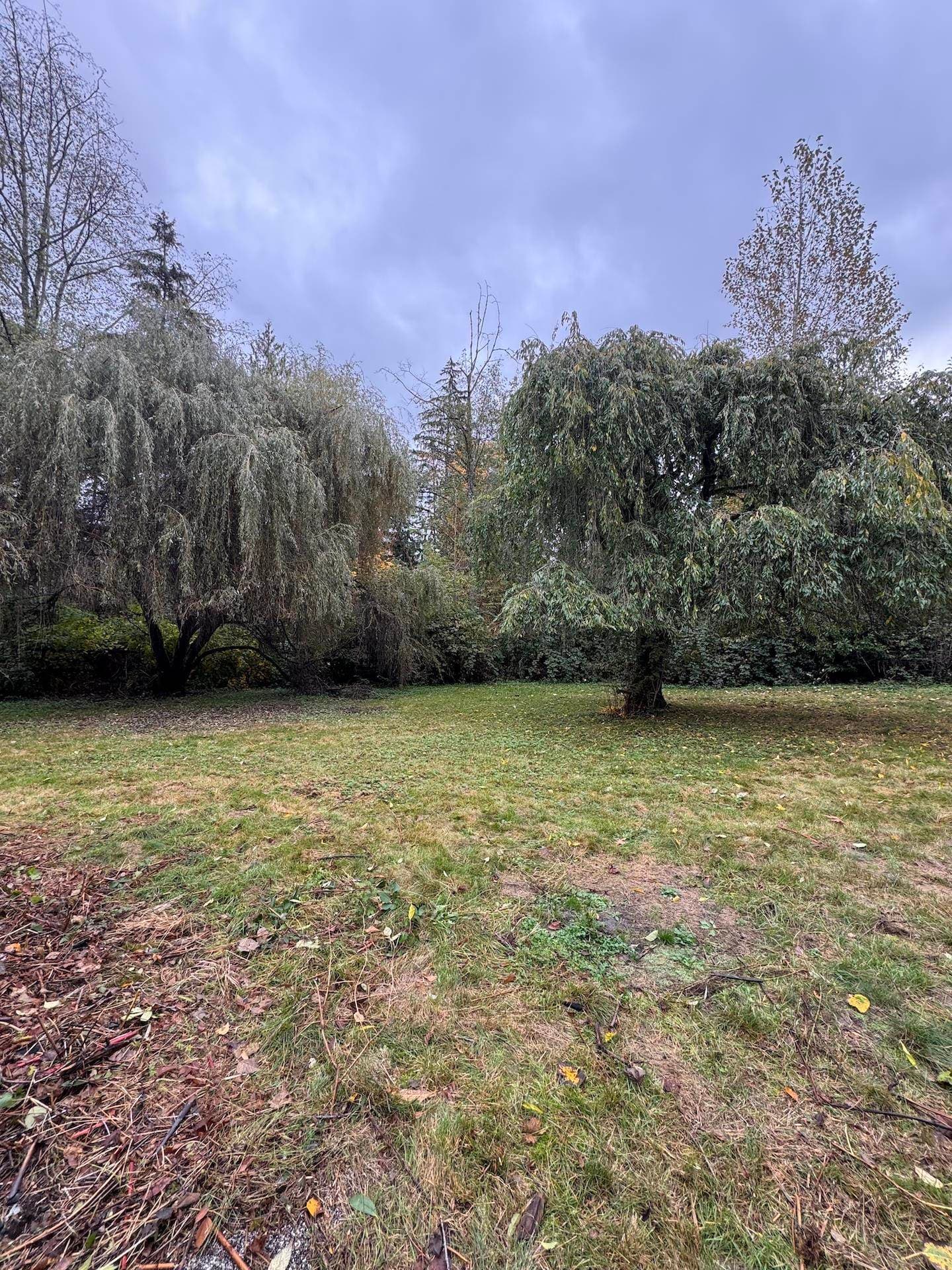 23979 Fern Crescent, Maple Ridge, V4R 2R7 — photo 4