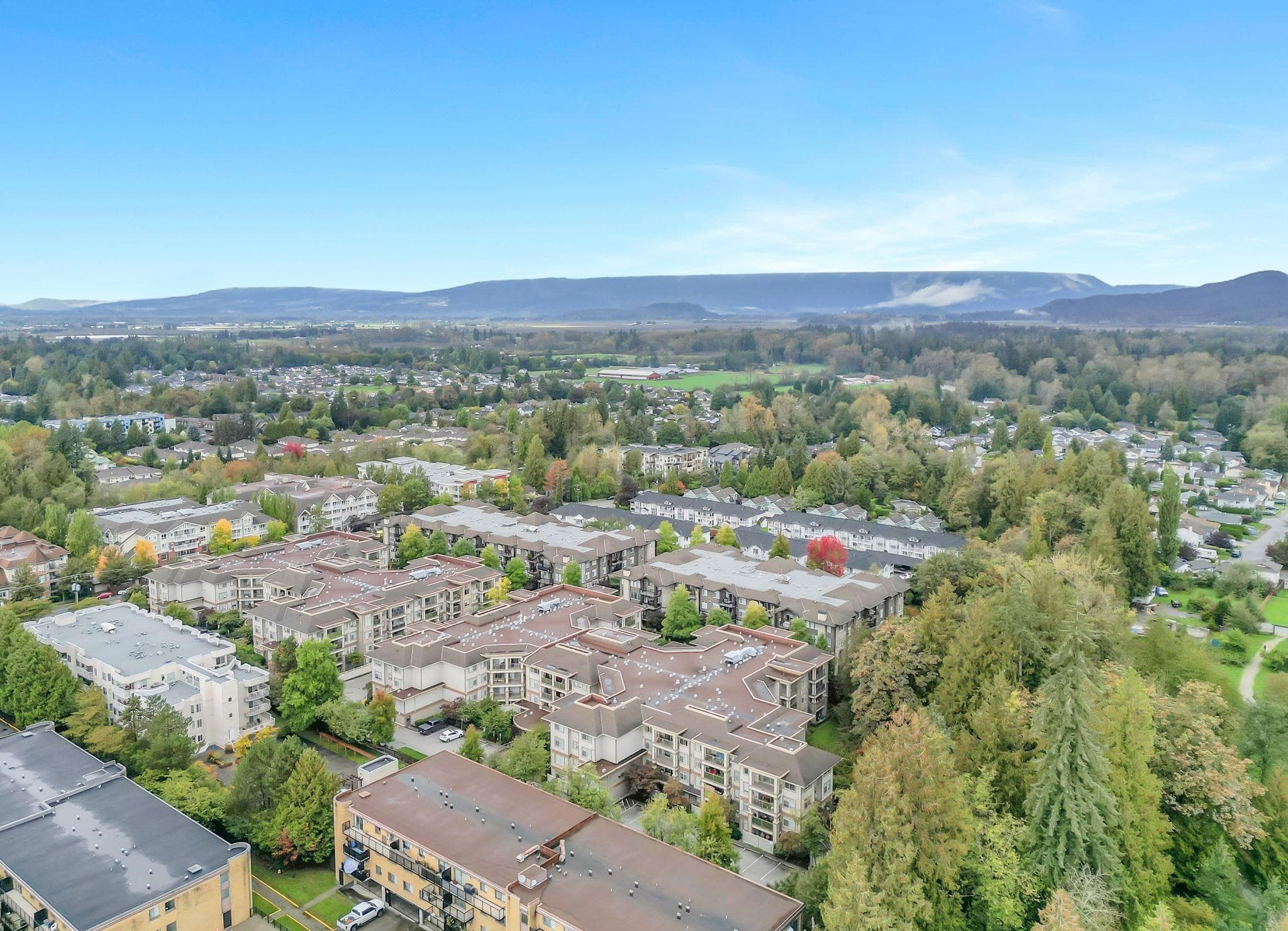 201 - 12248 224 Street, Maple Ridge, V2X 8W6 — photo 5