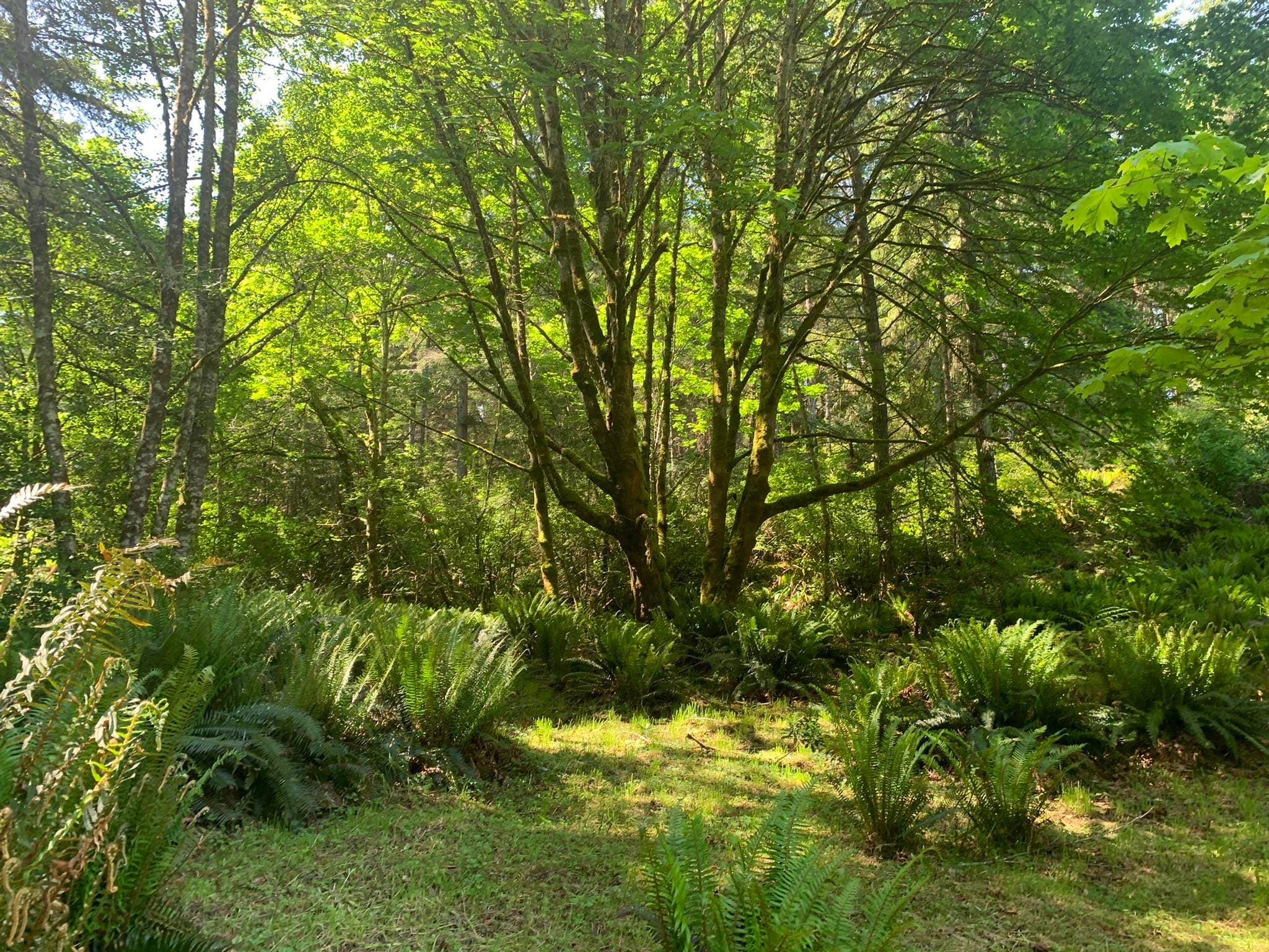 23180 Porlier Pass Road, Galiano Island, V0N 1P0 — photo 5
