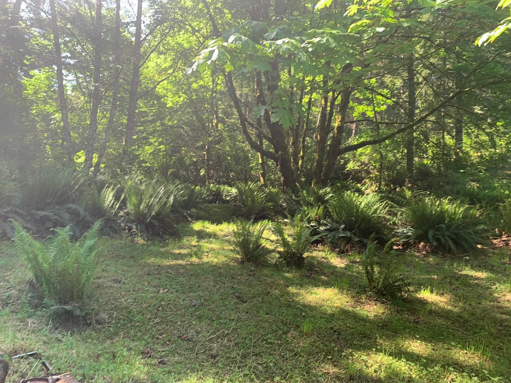 23180 Porlier Pass Road, Galiano Island, V0N 1P0 — photo 4