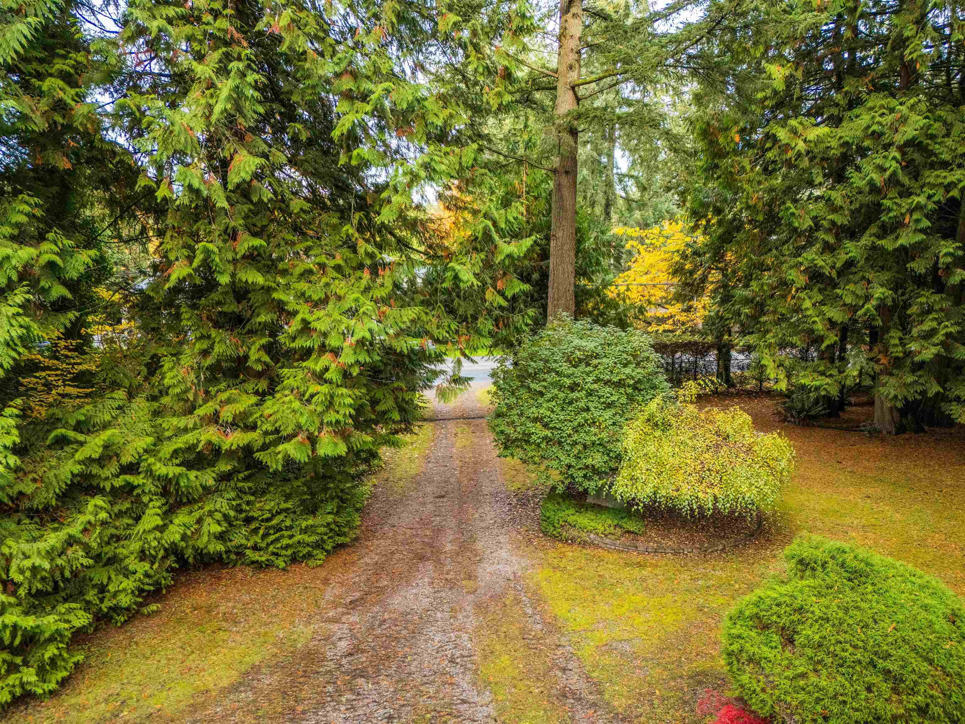 13912 28 Avenue, Surrey, V4P 1T4 — photo 5