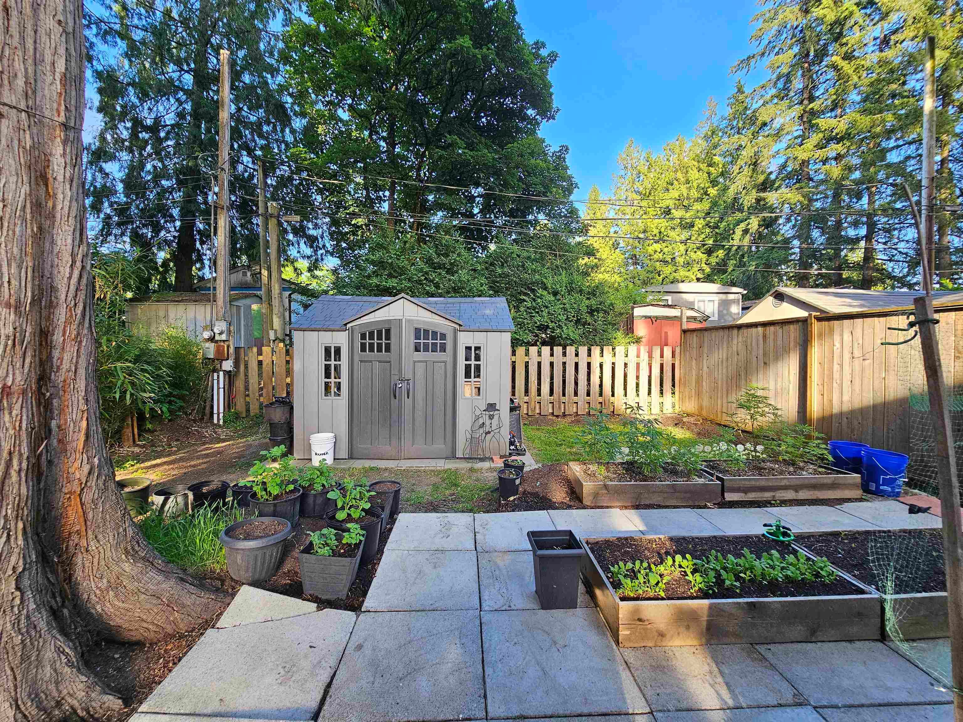 3 - 21091 Lougheed Highway, Maple Ridge, V2X 2R2 — photo 4