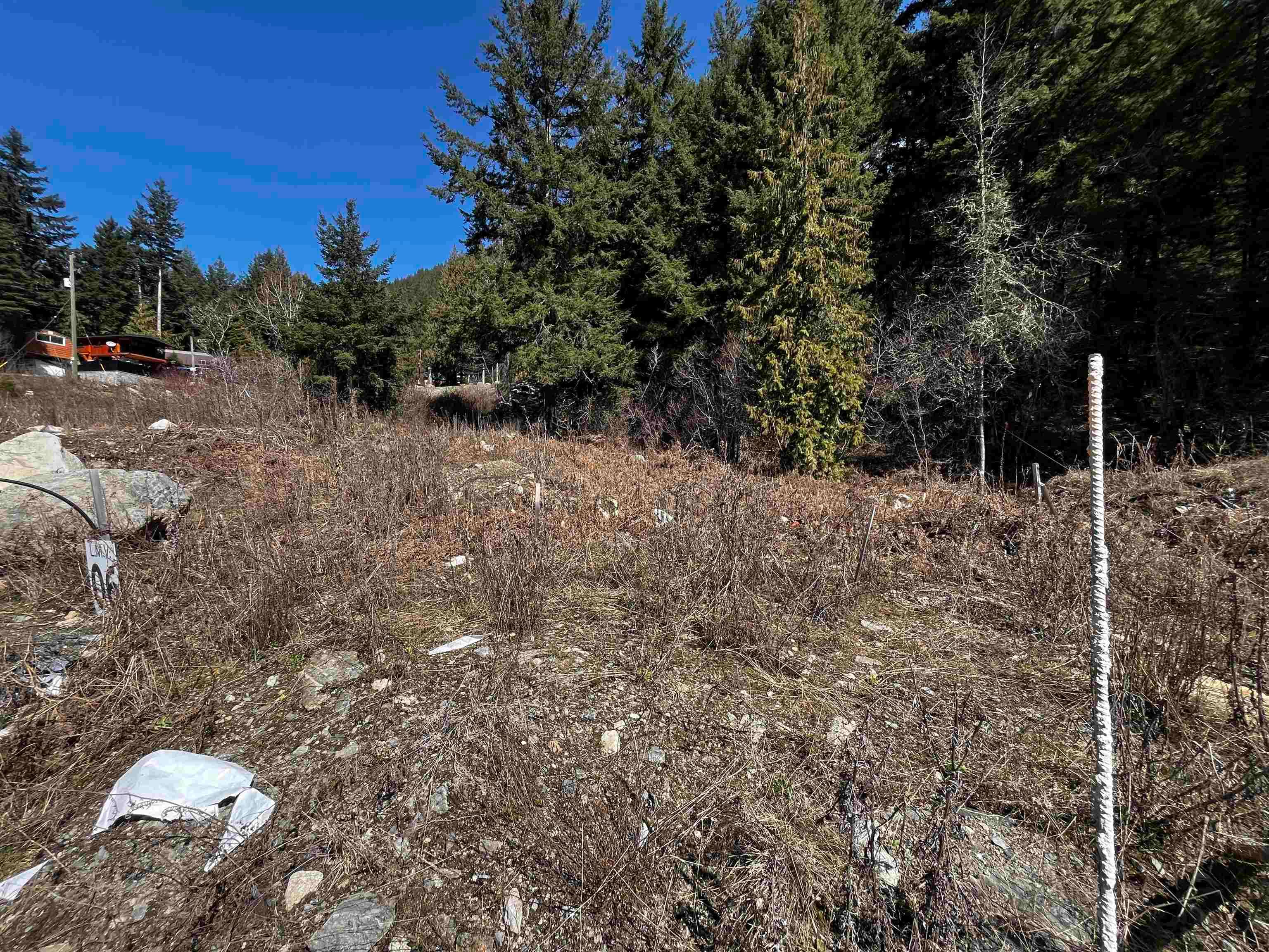 LMV6 Old Hope Princeton Highway, Sunshine Valley, V0X 1L5 — photo 2