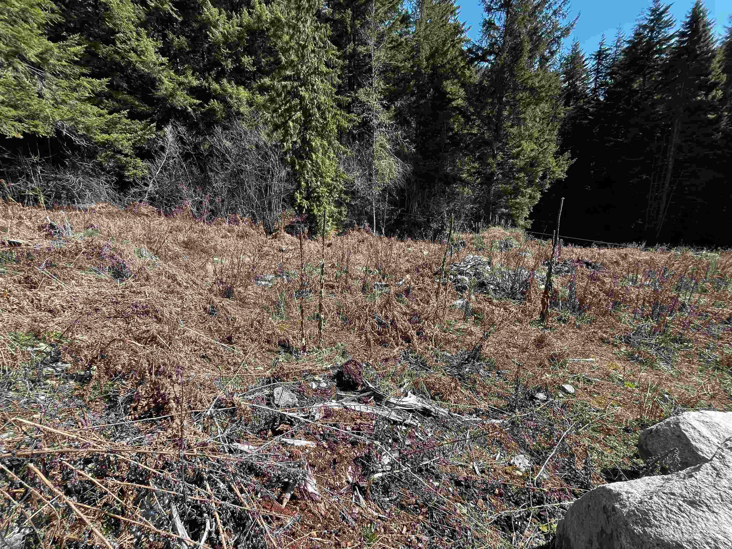 LMV6 Old Hope Princeton Highway, Sunshine Valley, V0X 1L5 — photo 3