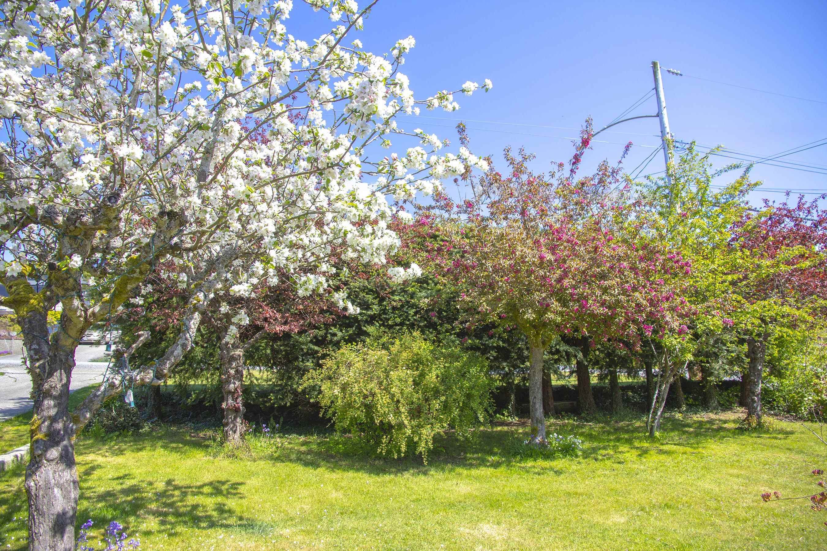 4781 Laurel Avenue, Sechelt, V7Z 0B4 — photo 4