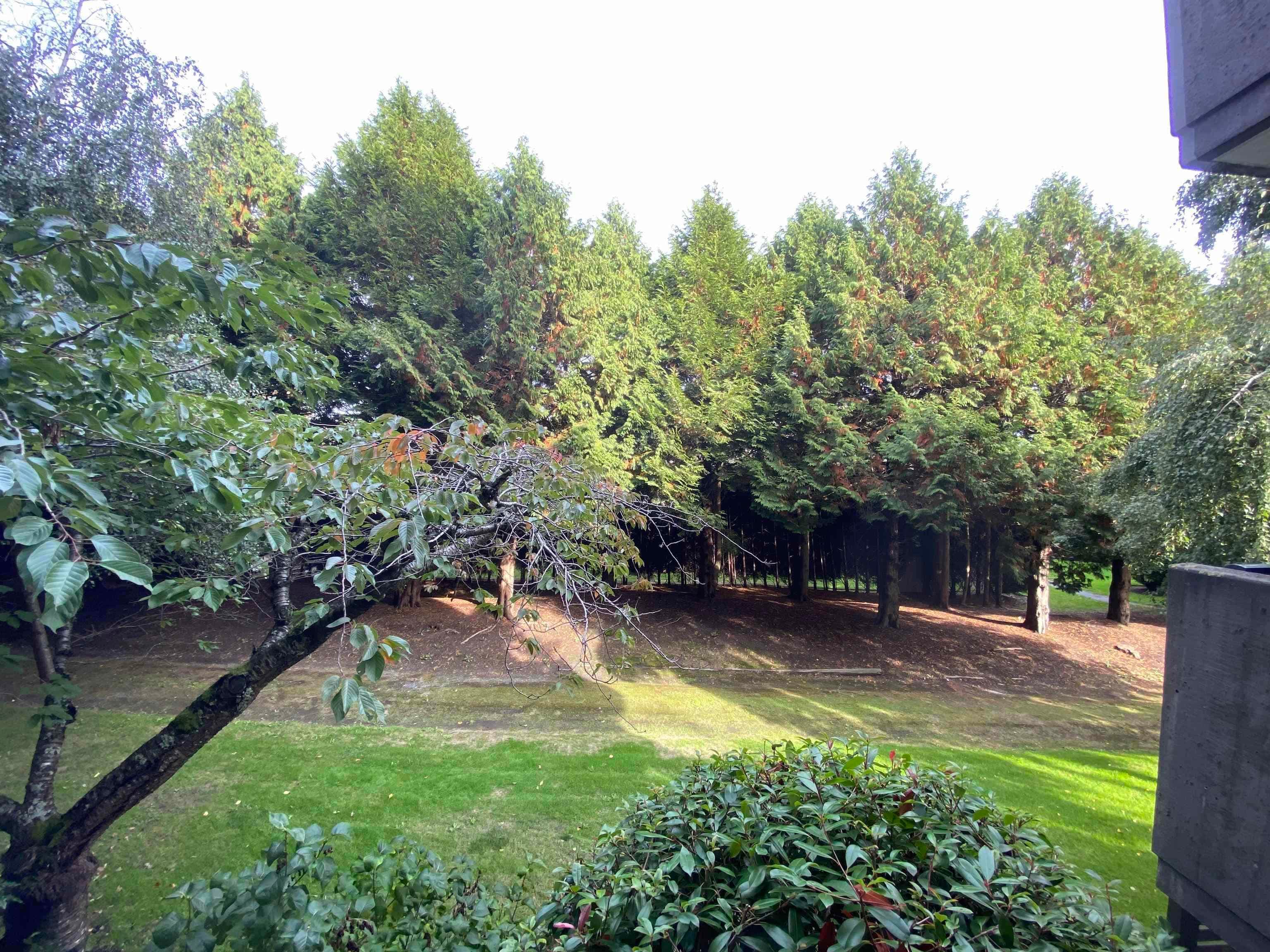 2xx - 9320 Parksville Drive, Richmond, V7E 4W2 — photo 5