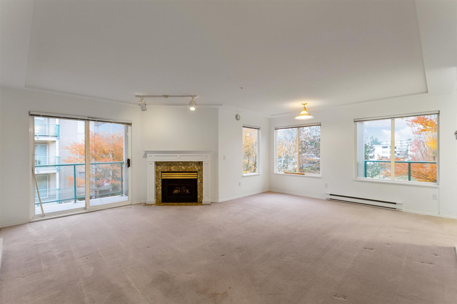 310 - 20443 53rd Avenue, Langley, V3A 7A6 — photo 3