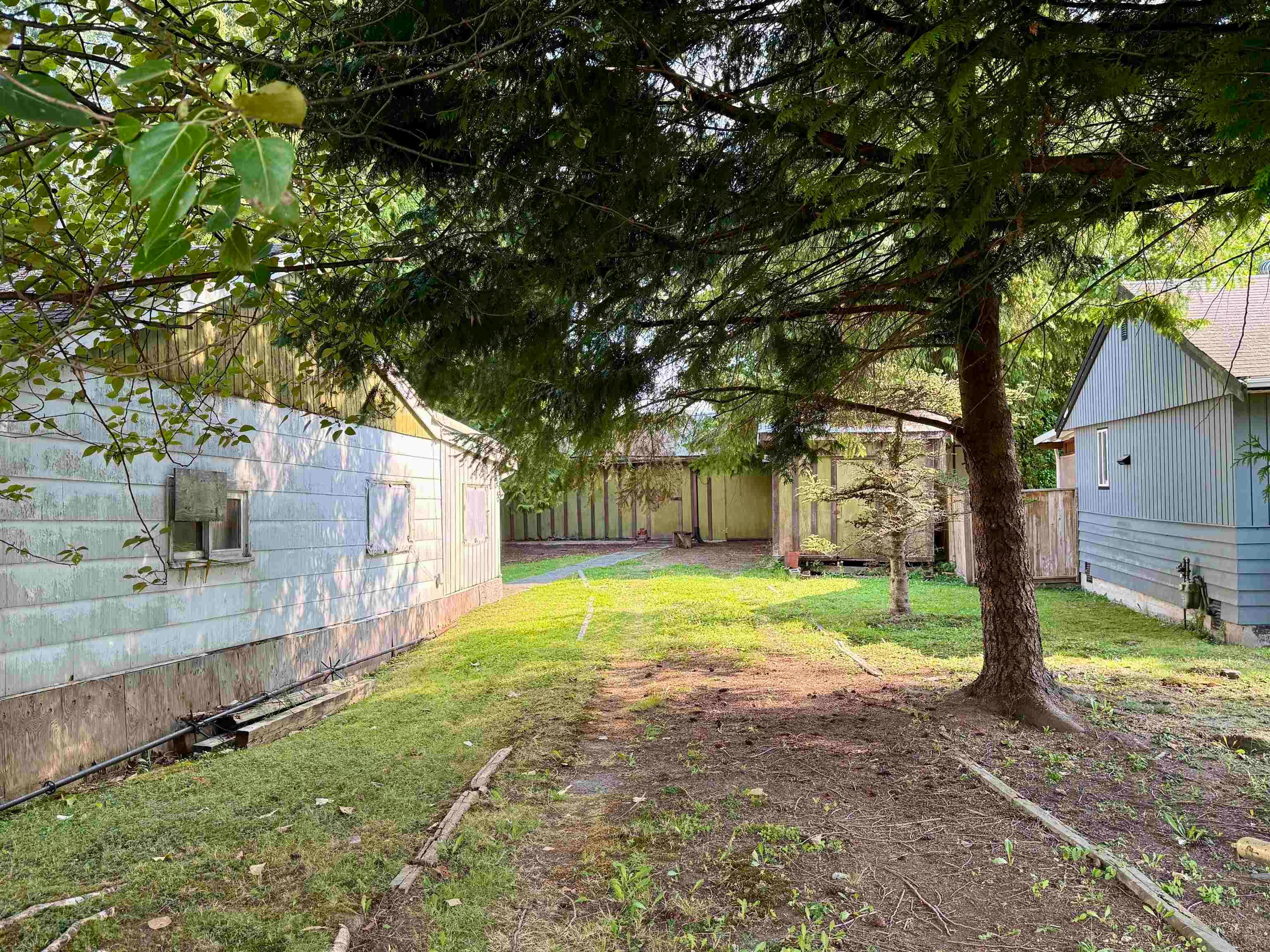 11098 Princess Street, Maple Ridge, V2X 1M7 — photo 4