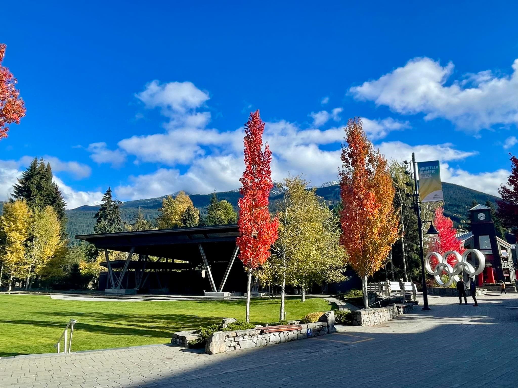 302 - 4338 Main Street, Whistler, V8E 1B4 — photo 2