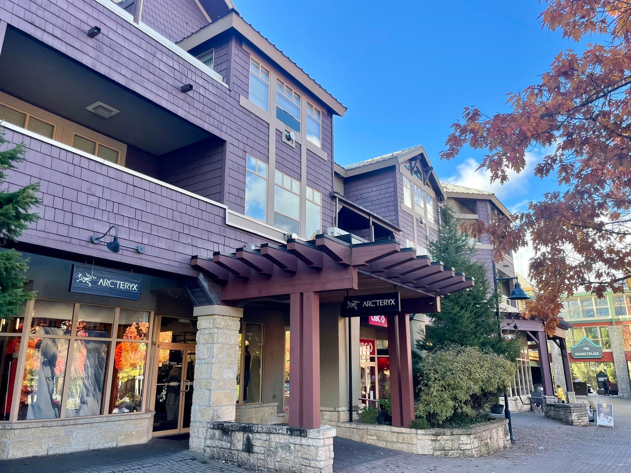 302 - 4338 Main Street, Whistler, V8E 1B4 — photo 3