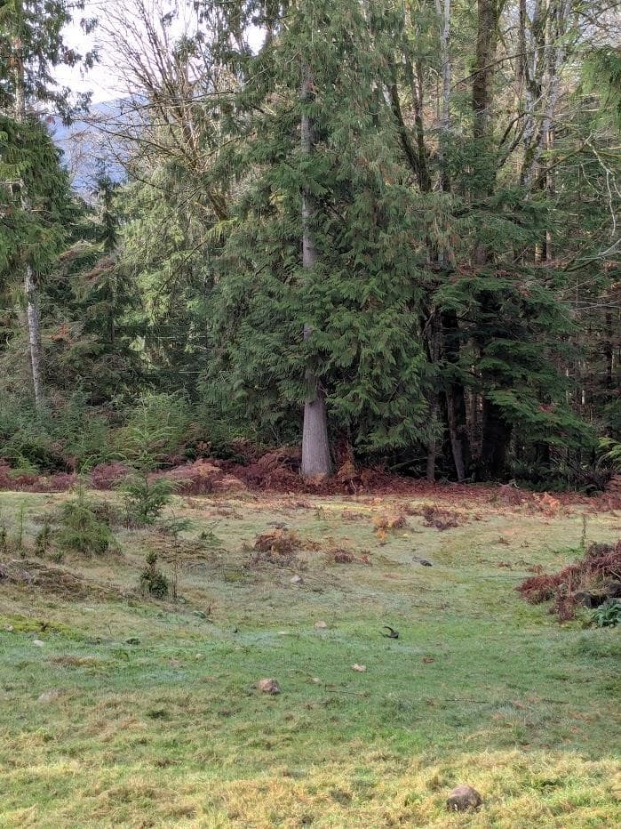 Lot 9 Mountain Road, Gambier Island, V0N 1V0 — photo 5