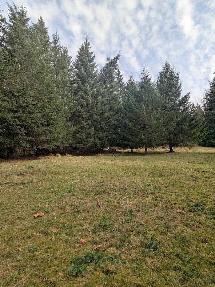 Lot 9 Mountain Road, Gambier Island, V0N 1V0 — photo 4