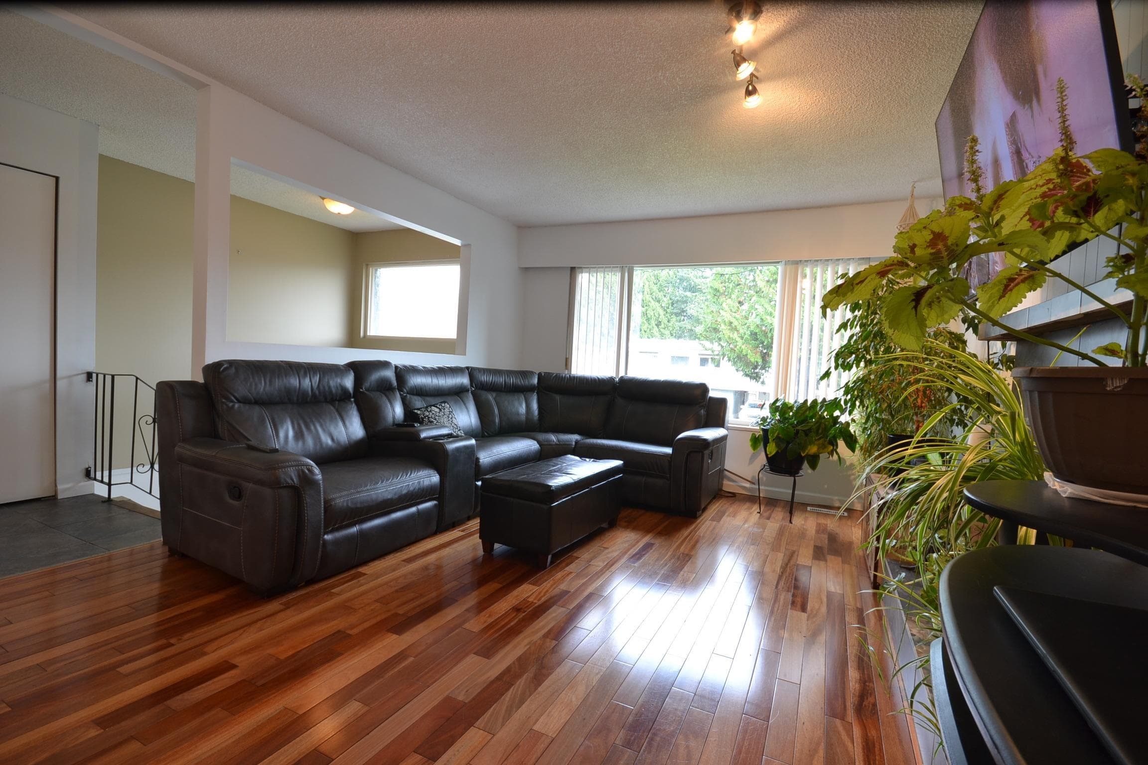 11717 209 Street, Maple Ridge, V2X 7S6 — photo 5