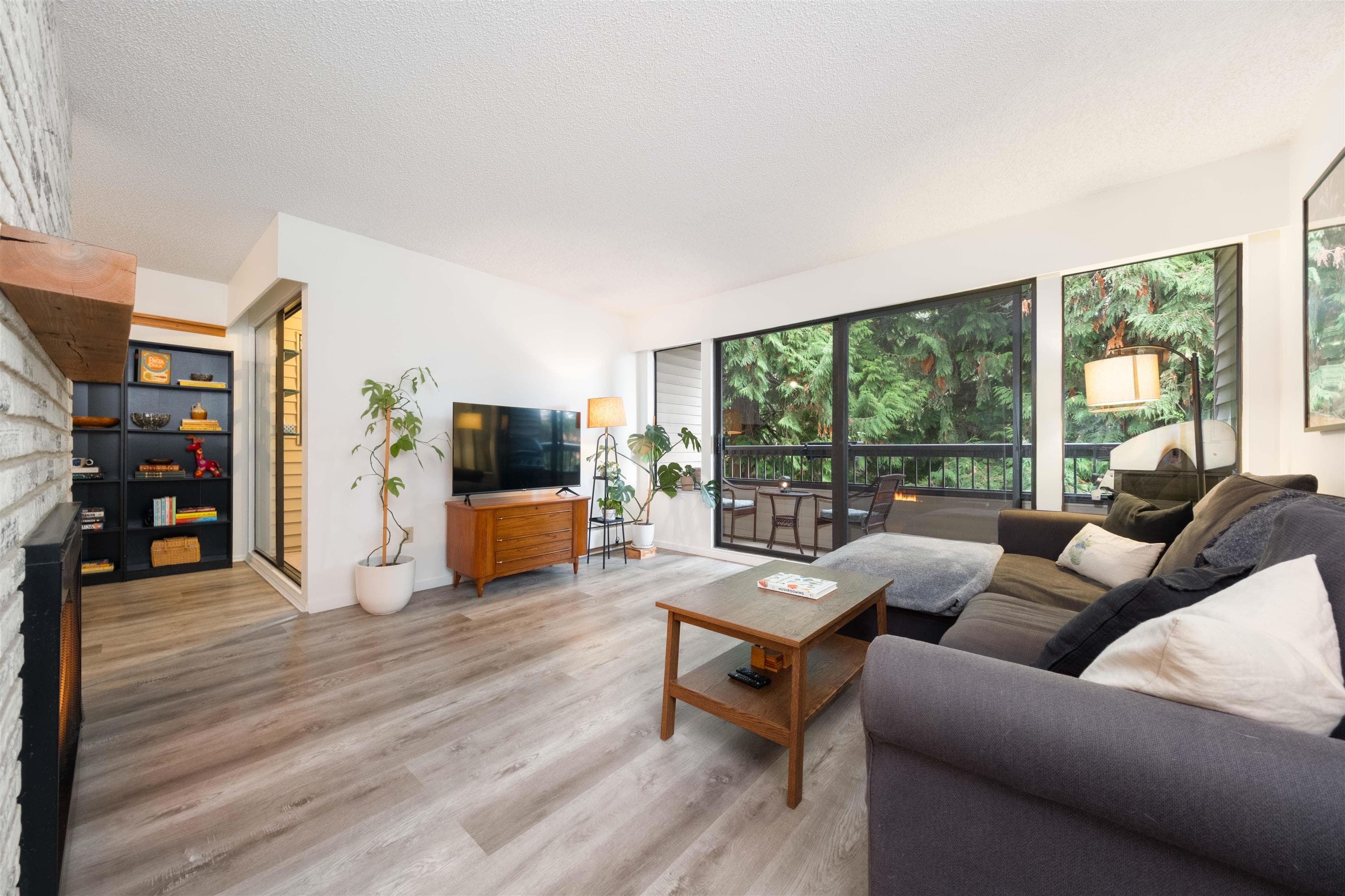 207 - 1048 King Albert Avenue, Coquitlam, V3J 1X5 — photo 3