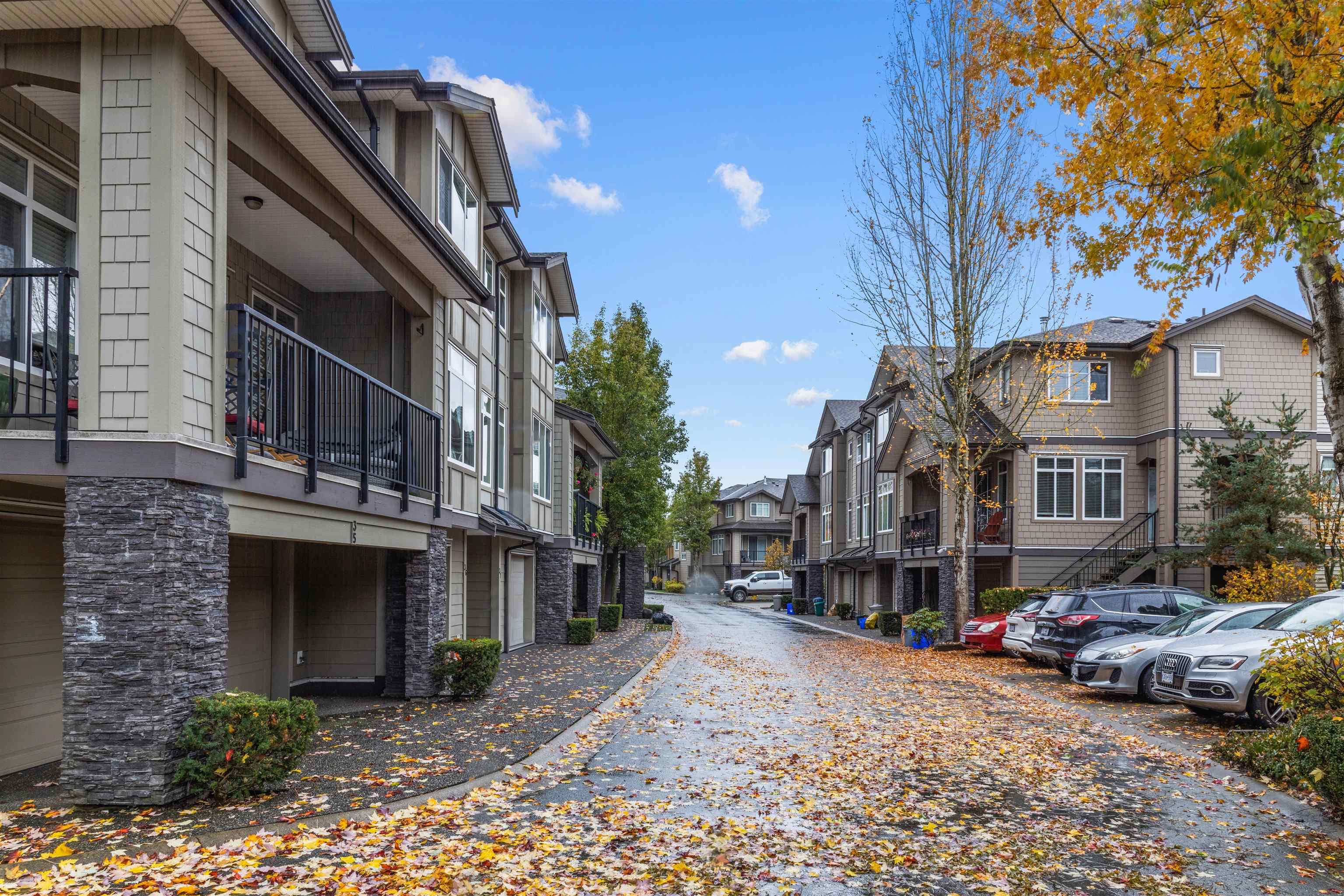 35 - 22865 Telosky Avenue, Maple Ridge, V2X 2T7 — photo 4