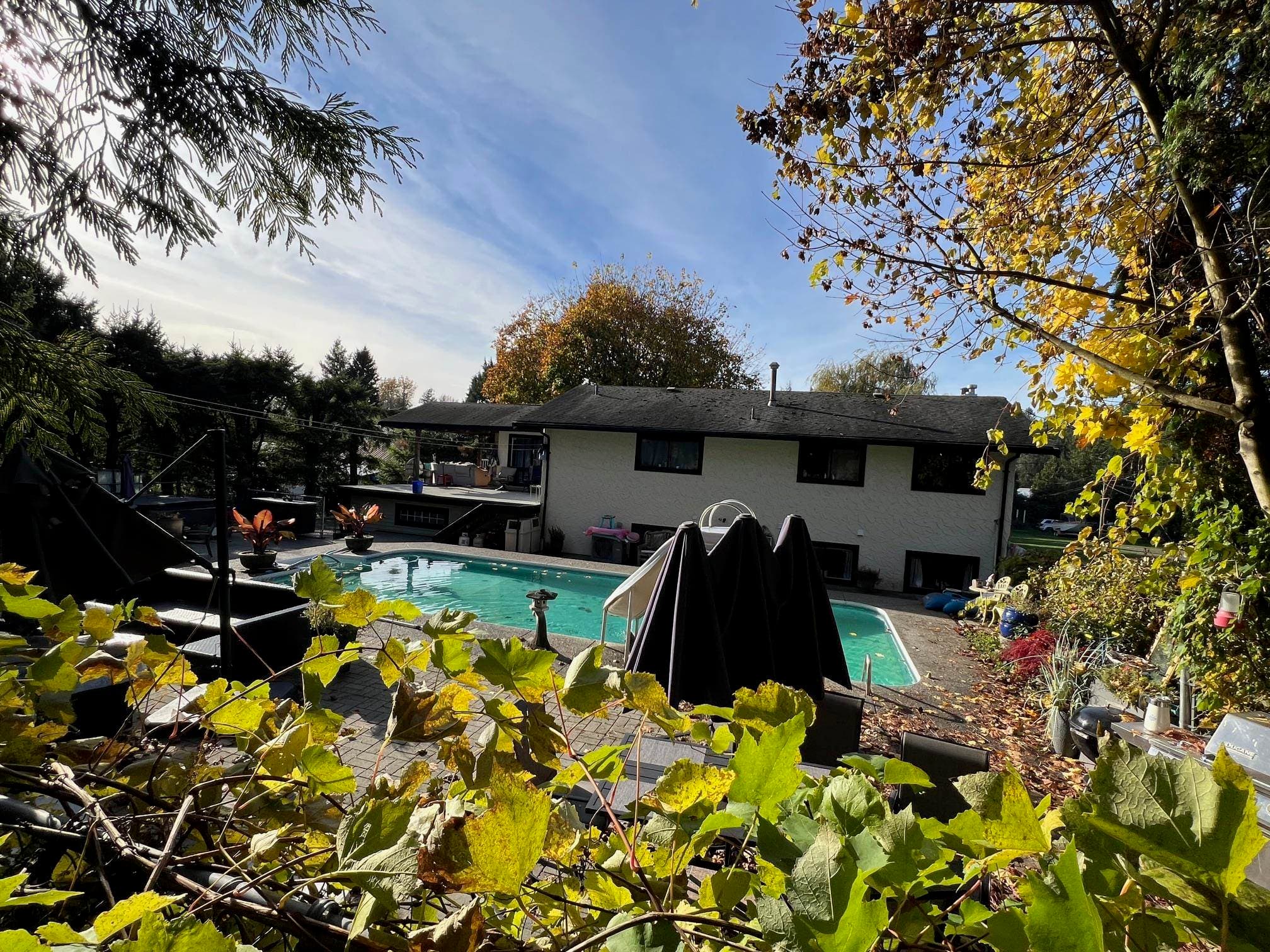 6050 Leclair Street, Abbotsford, V4X 2C9 — photo 3