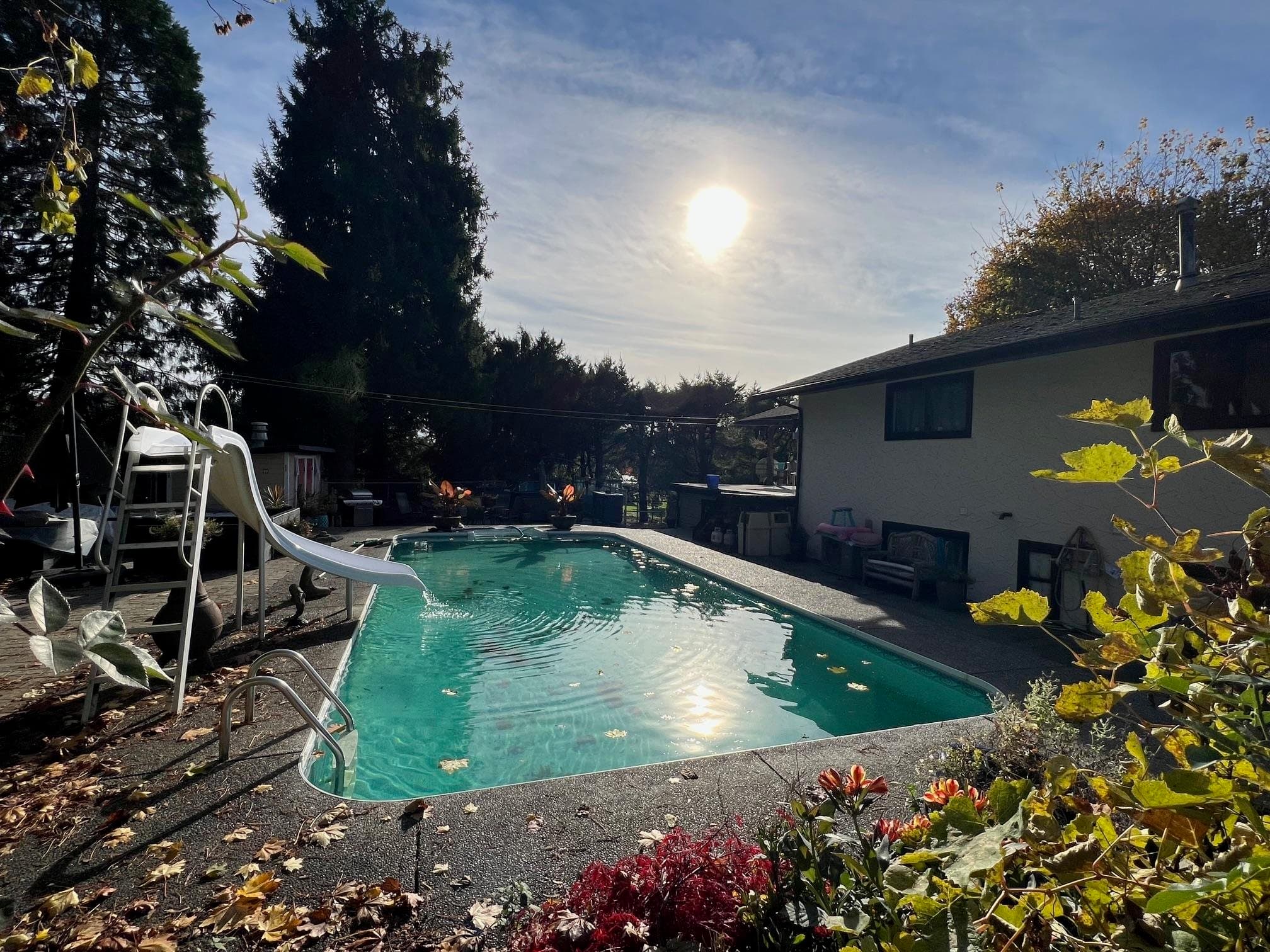 6050 Leclair Street, Abbotsford, V4X 2C9 — photo 5