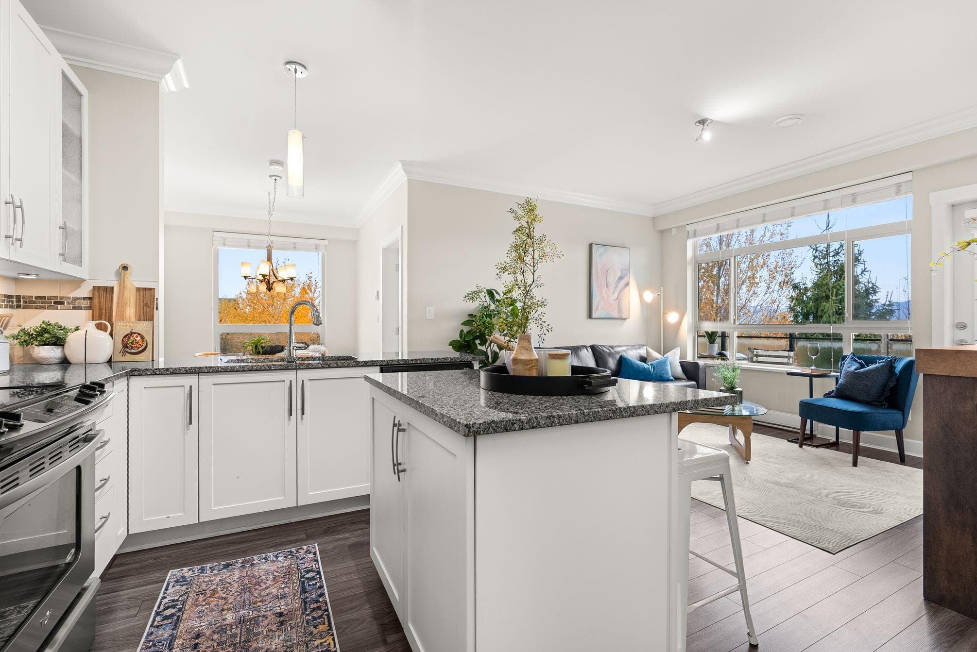 319 - 20861 83 Avenue Avenue, Langley, V2Y 2C4 — photo 5