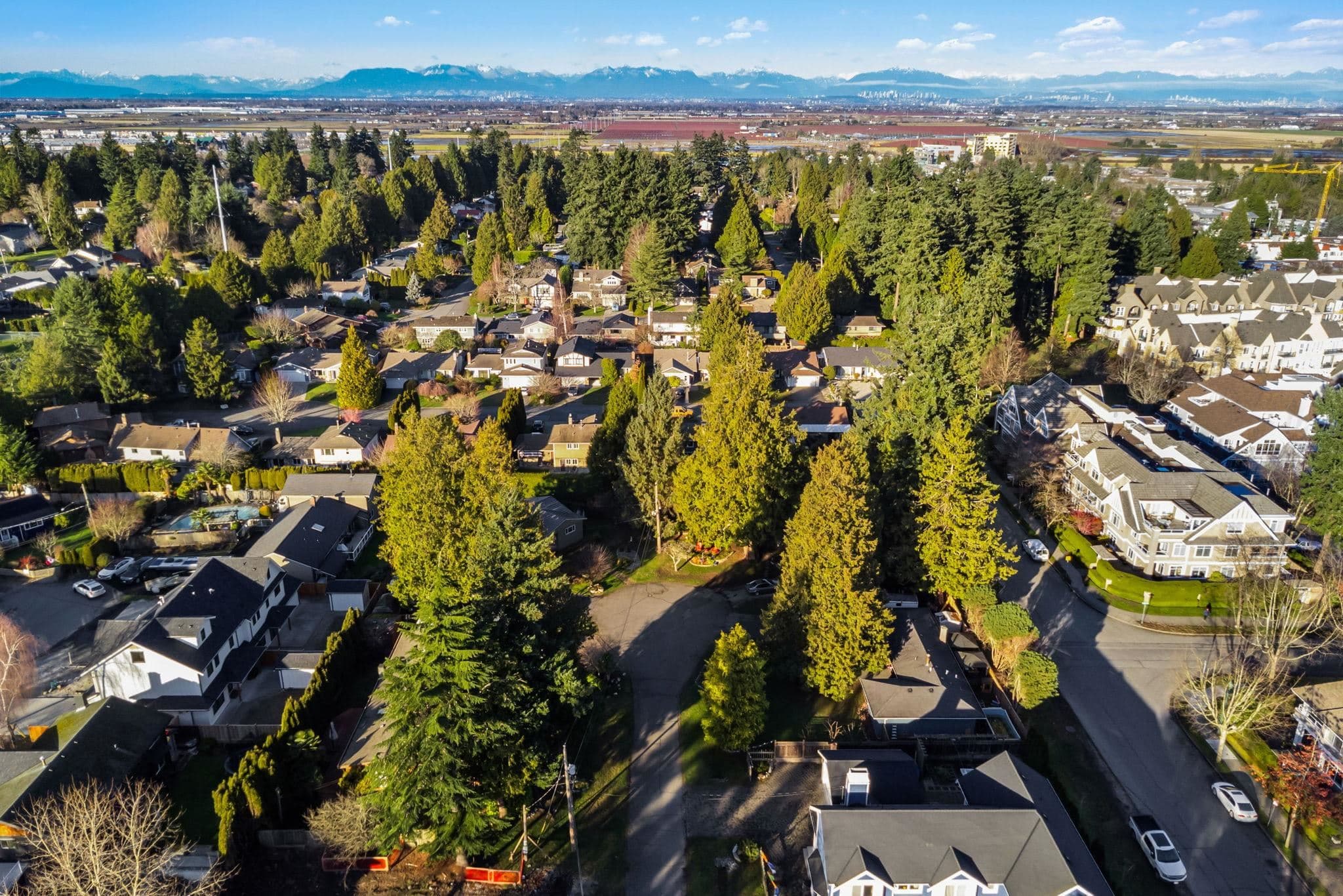 5464 13a Avenue, Delta, V4M 3V5 — photo 3