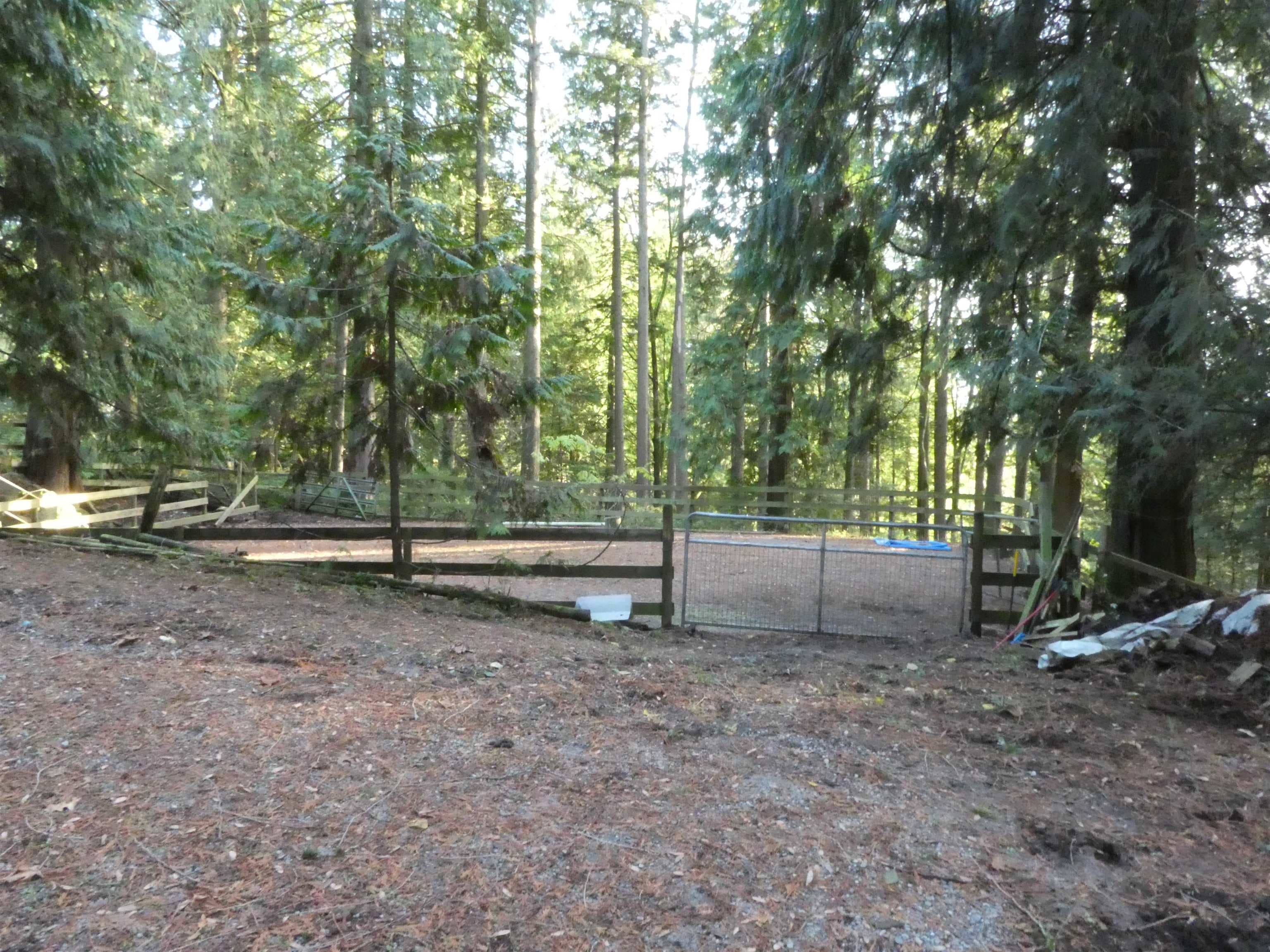 14042 232 Street, Maple Ridge, V4R 2G5 — photo 3