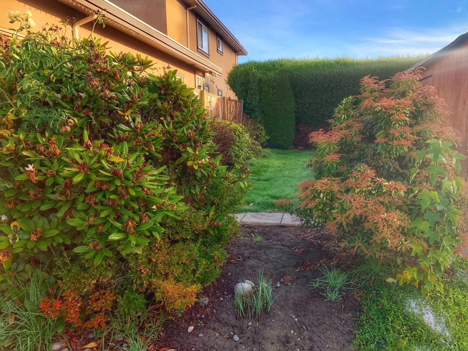 10880 Southridge Road, Richmond, V7A 2X4 — photo 5