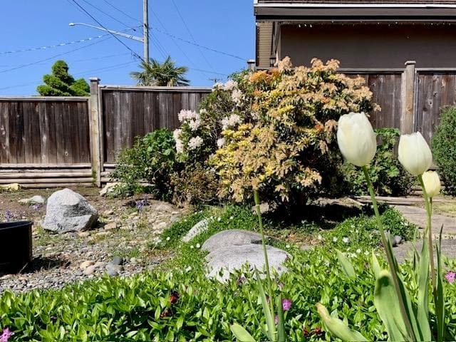 10880 Southridge Road, Richmond, V7A 2X4 — photo 4