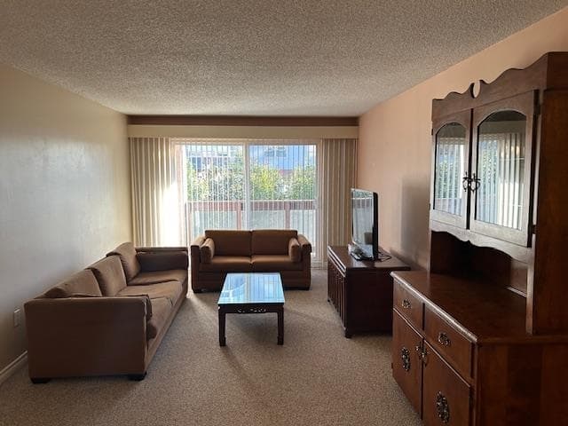 8 - 45 Fourth Street, New Westminster, V3L 5H7 — photo 2