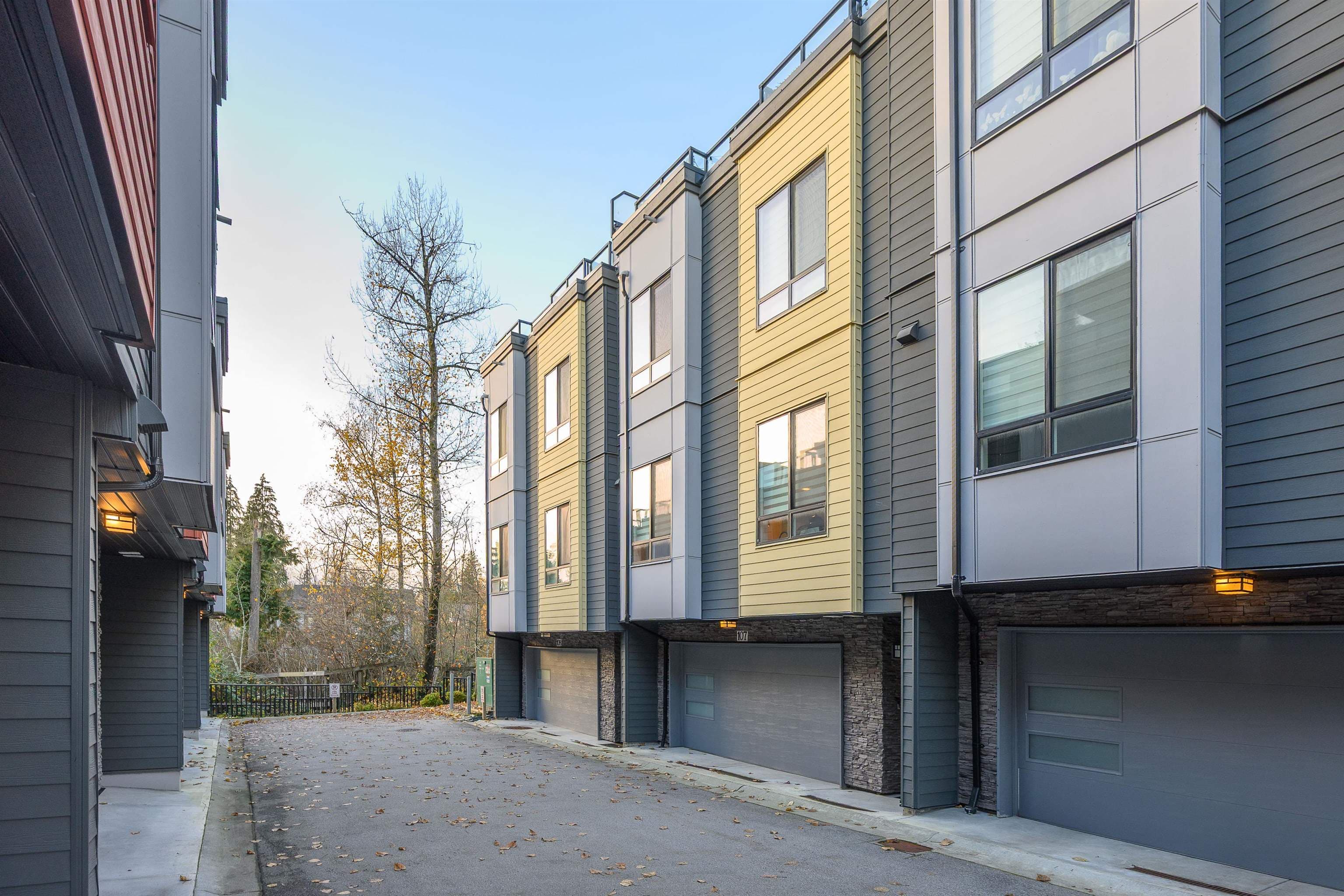 107 - 3503 Gislason Avenue, Coquitlam, V3E 0T1 — photo 3