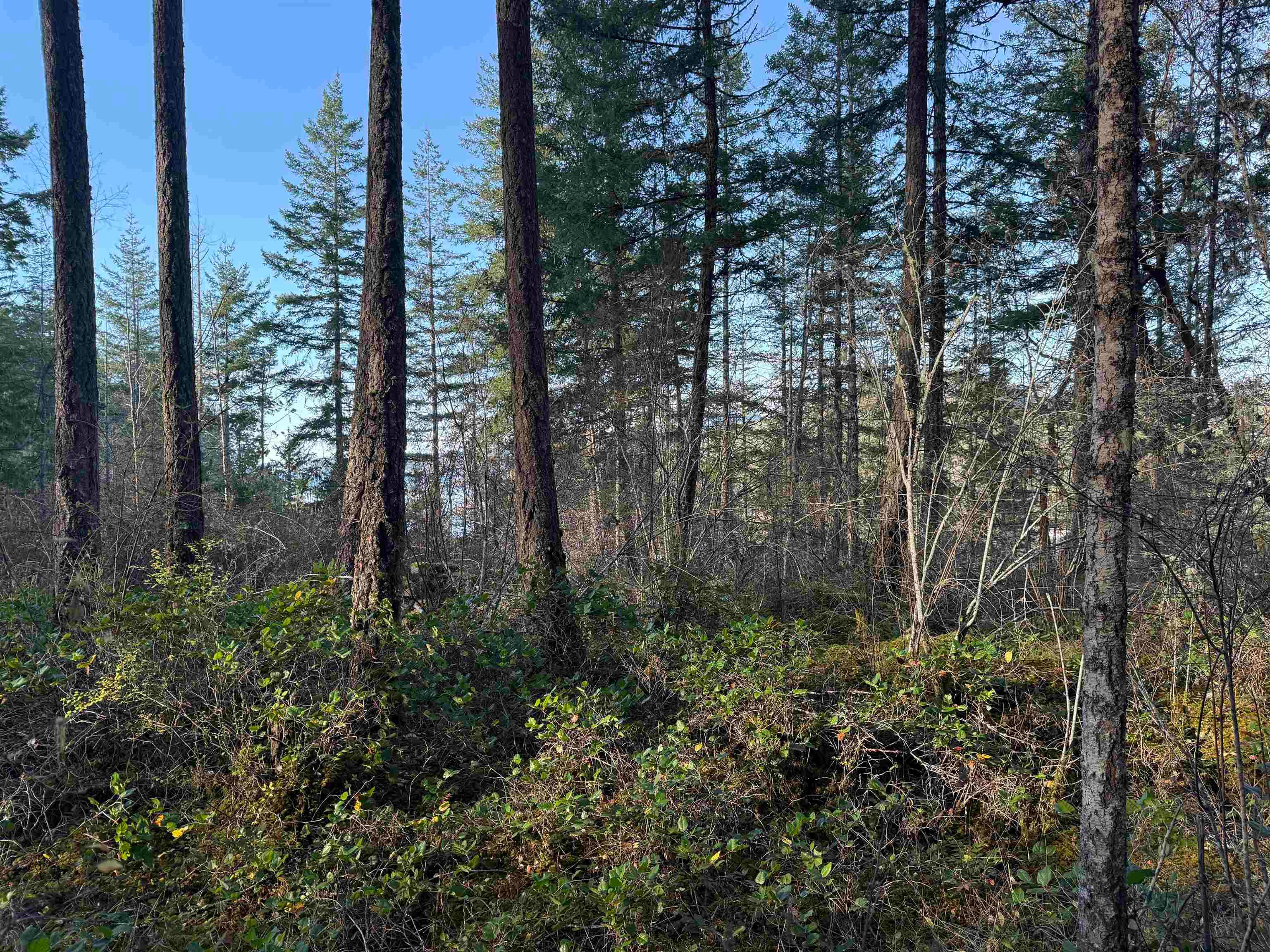 LOT B Francis Peninsula Road, Madeira Park, V0N 2H1 — photo 3